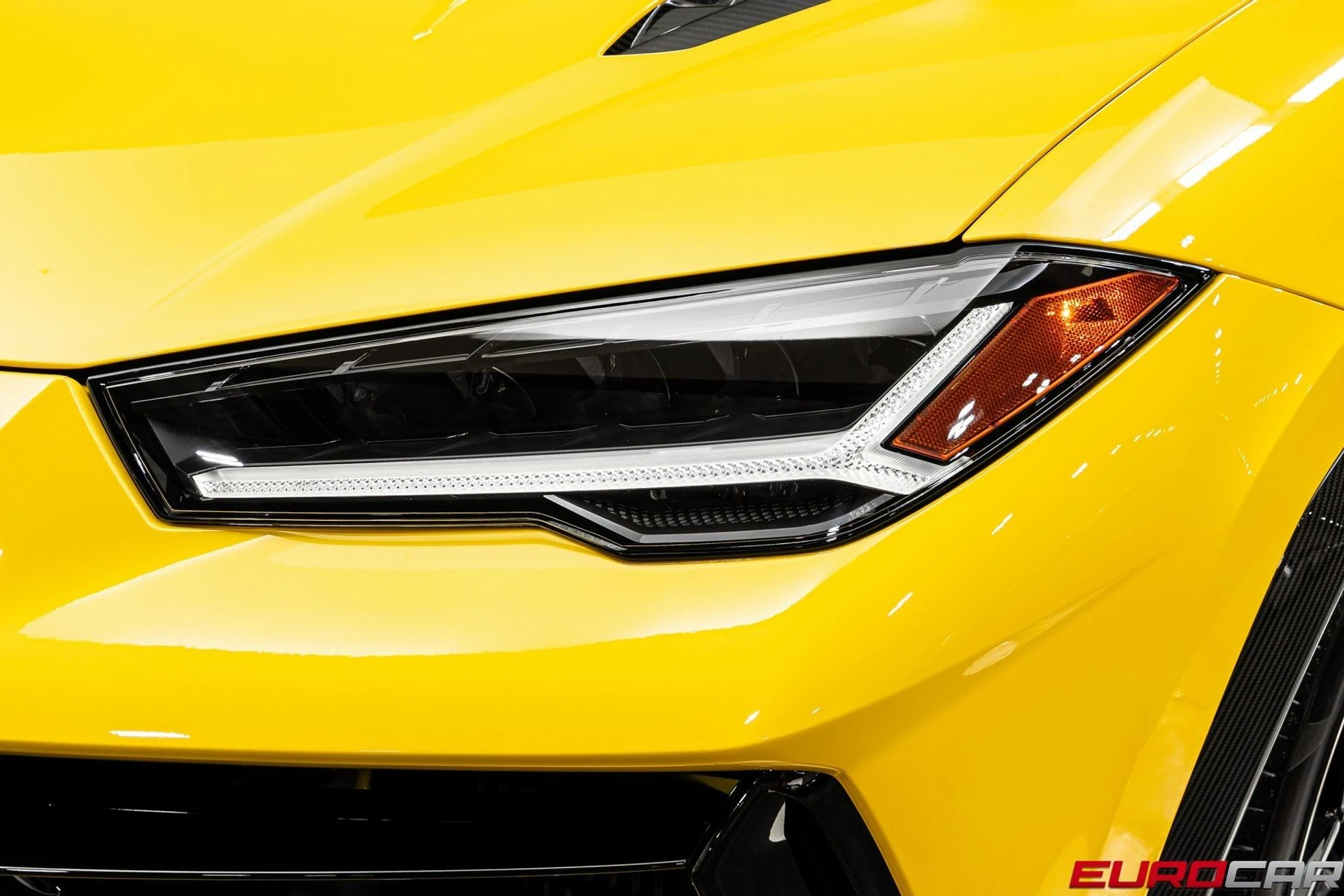 mph010_1924569820_image_11_980efb8be6