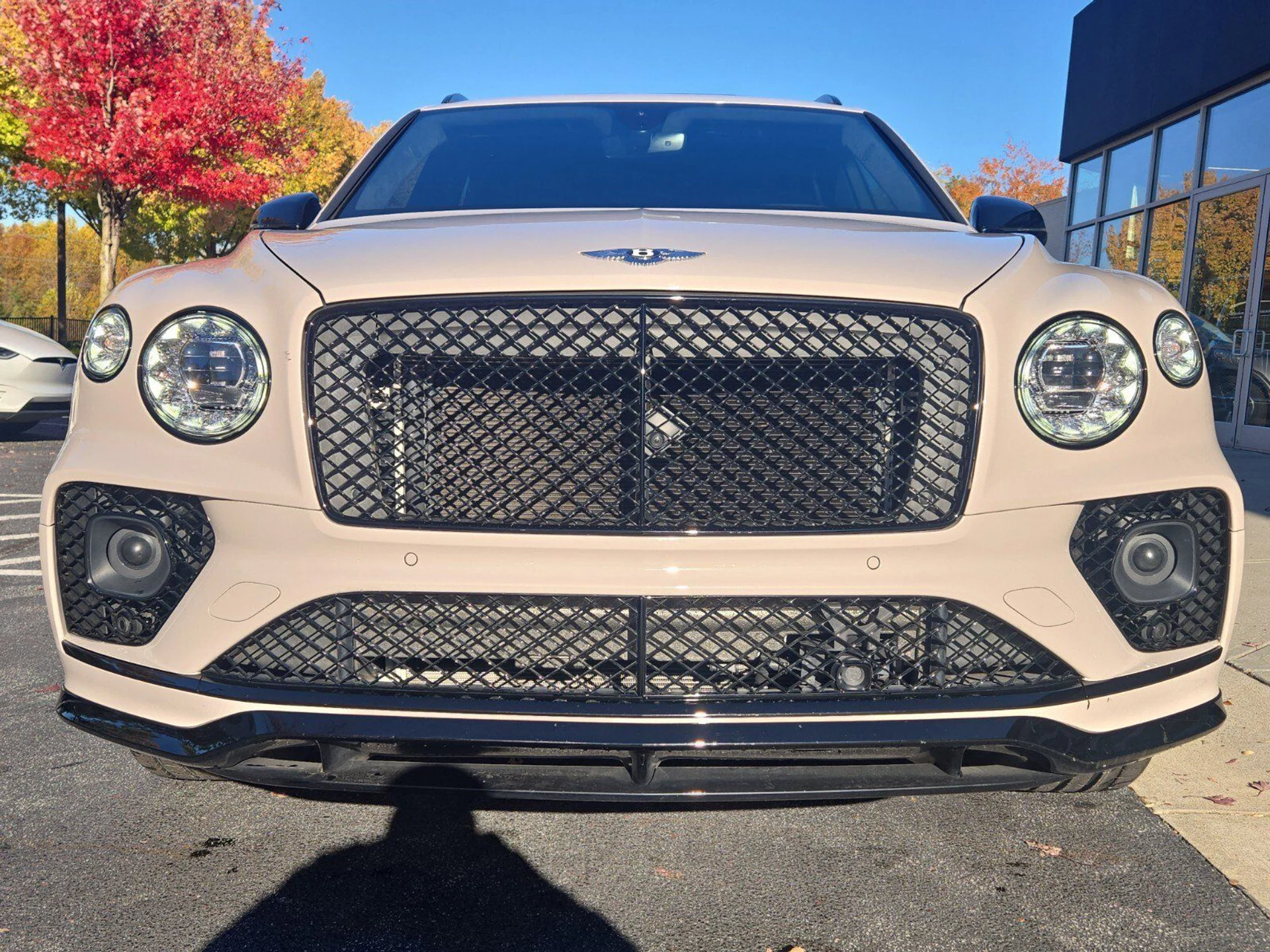 mph010_1984386433_3ae81d5cc7be0097caf12efc6b8ac195x_993501b5df