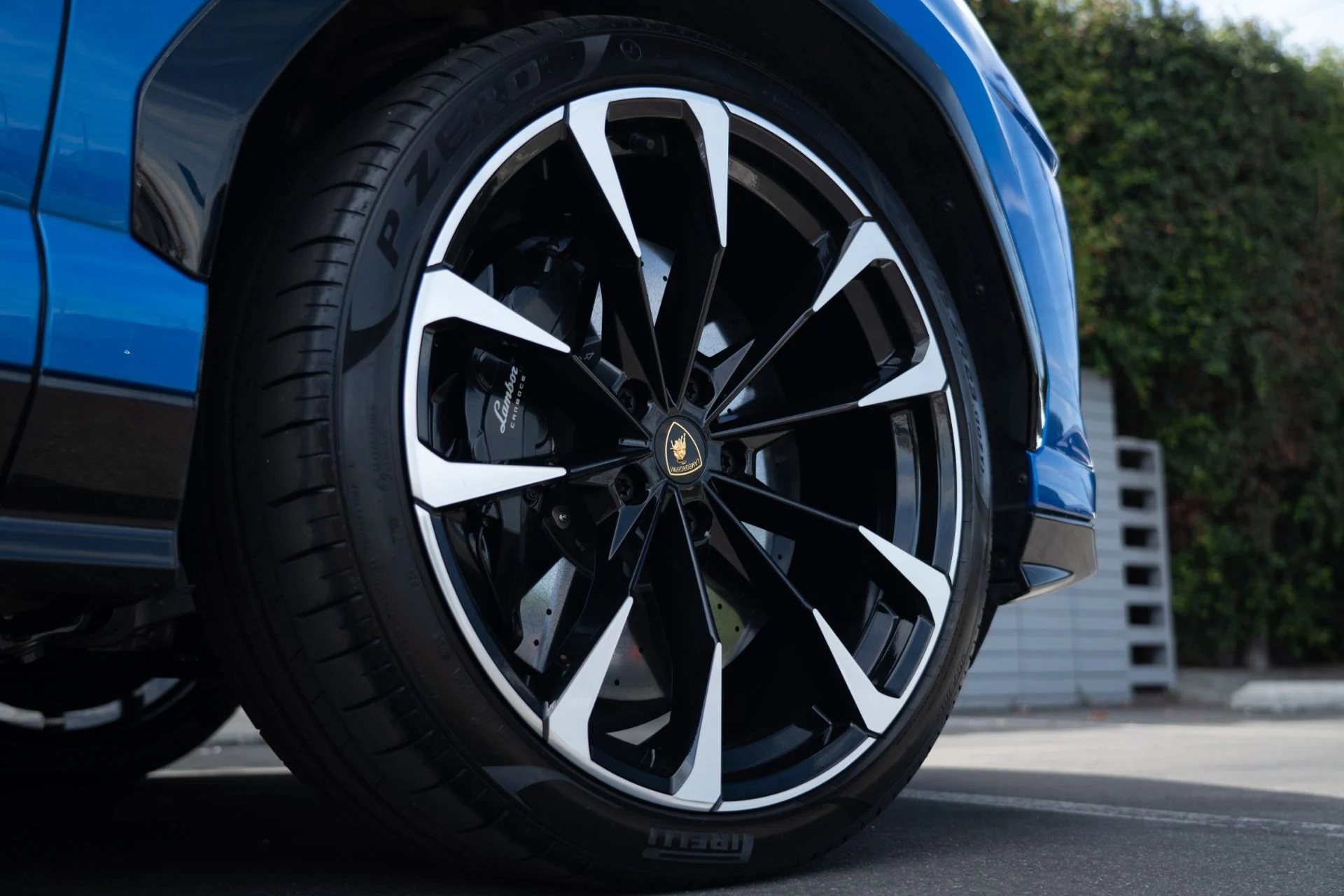 mph010_2111453534_Used_2021_Lamborghini_Urus_1756334741_776dde9b30