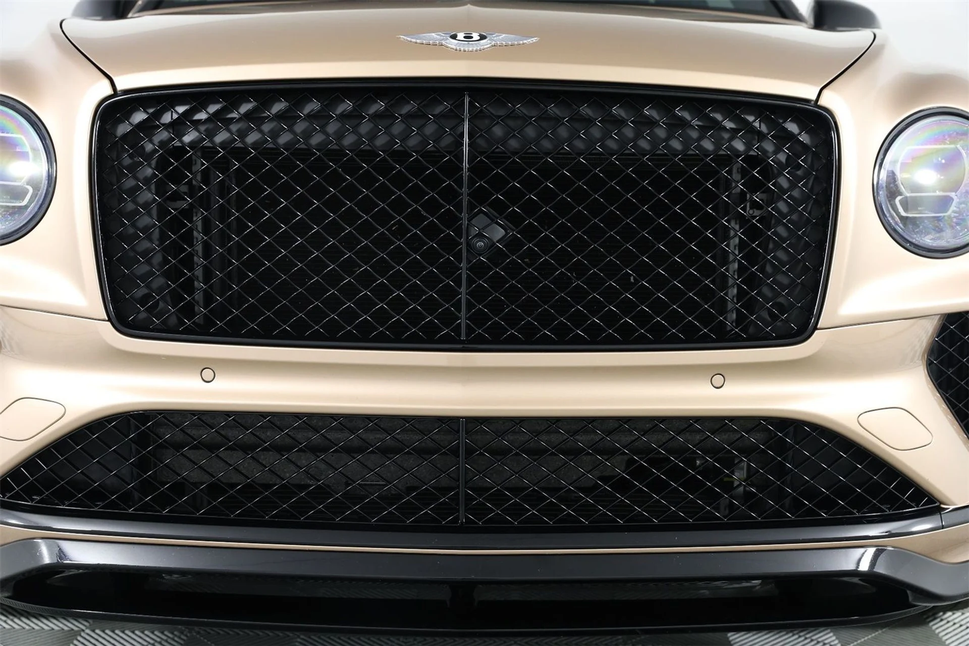 mph010_2188017456_626c9d4d442cfca732d26d6e50f22ff3_63462c6186