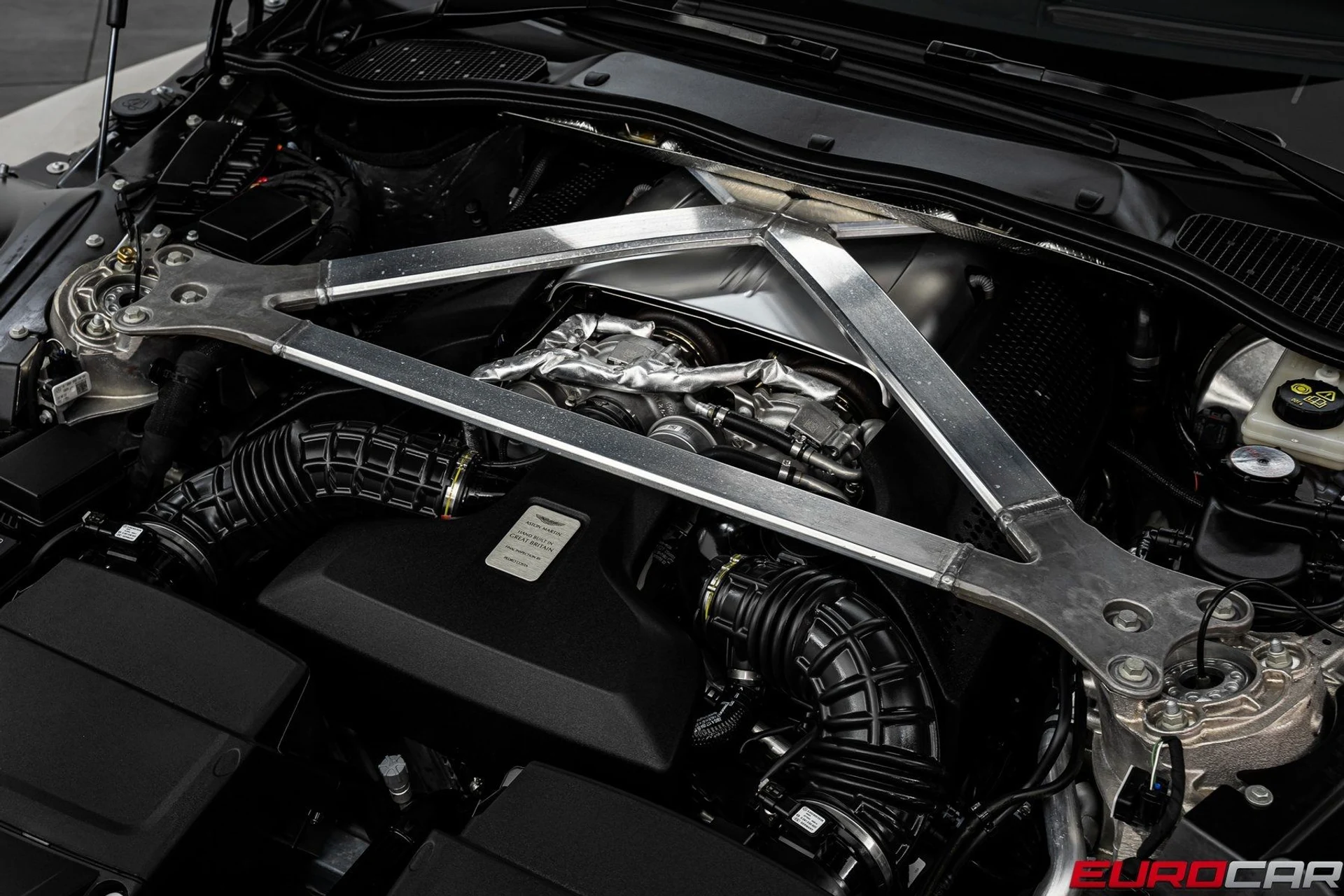 mph010_2228727168_image_11_938c65764d