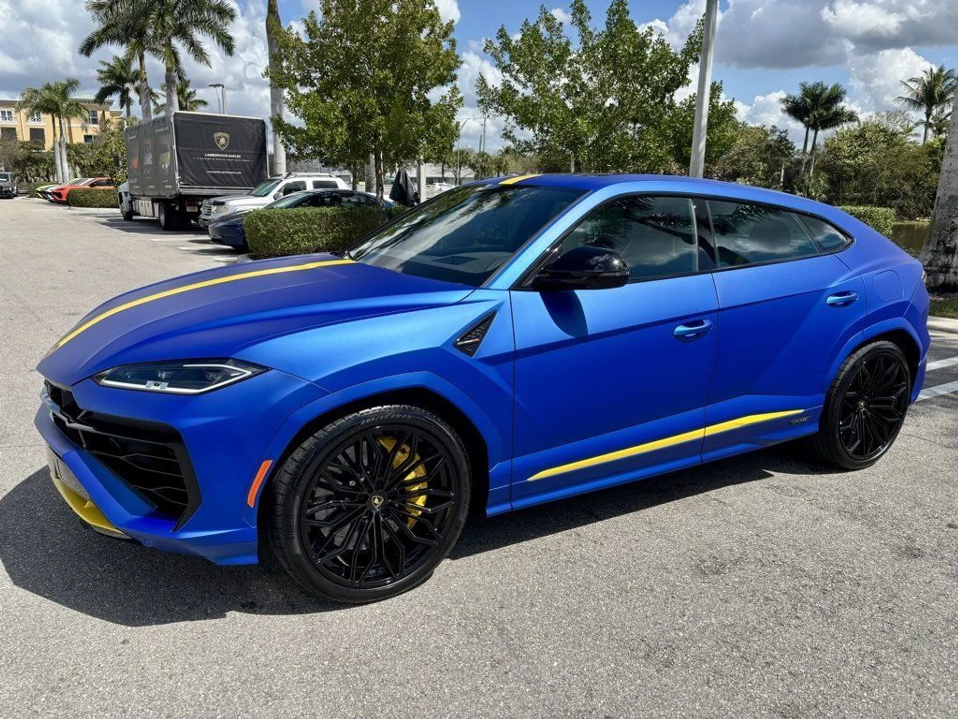 mph010_2235813006_8f556f46a6328ff9c9b5b5899bab6f6c_3496804407