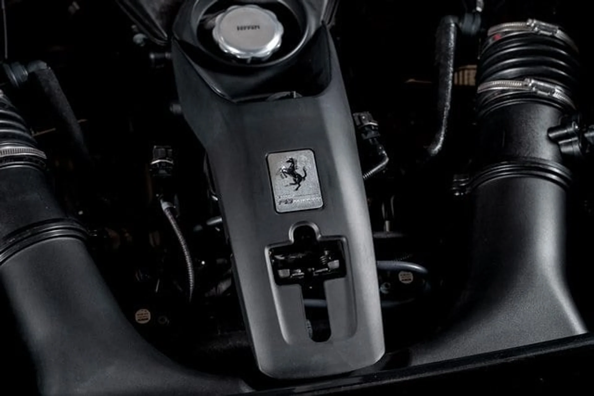 mph010_2266663154_dbb7f517fda76ed78814e21e4b816367x_a26442524e