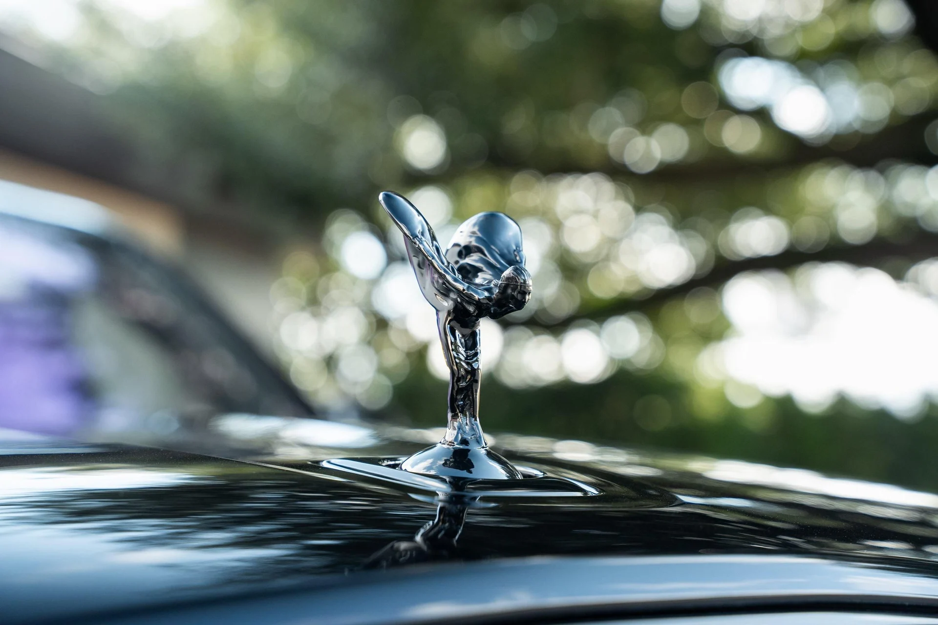 mph010_2271192479_444459225_695cc0008f3ee920bf5186b5_8276109d1b