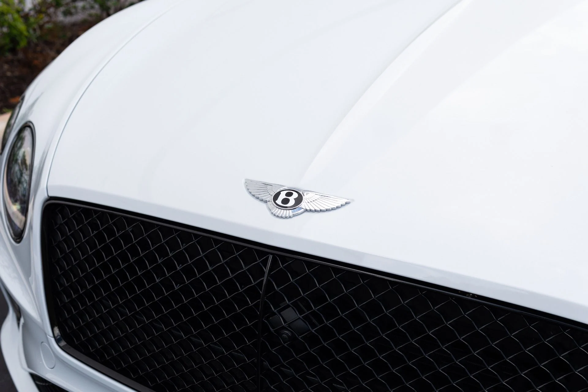 mph010_2300313454_Used_2021_Bentley_Continental_GT_V8_1772816156_c31f846be1