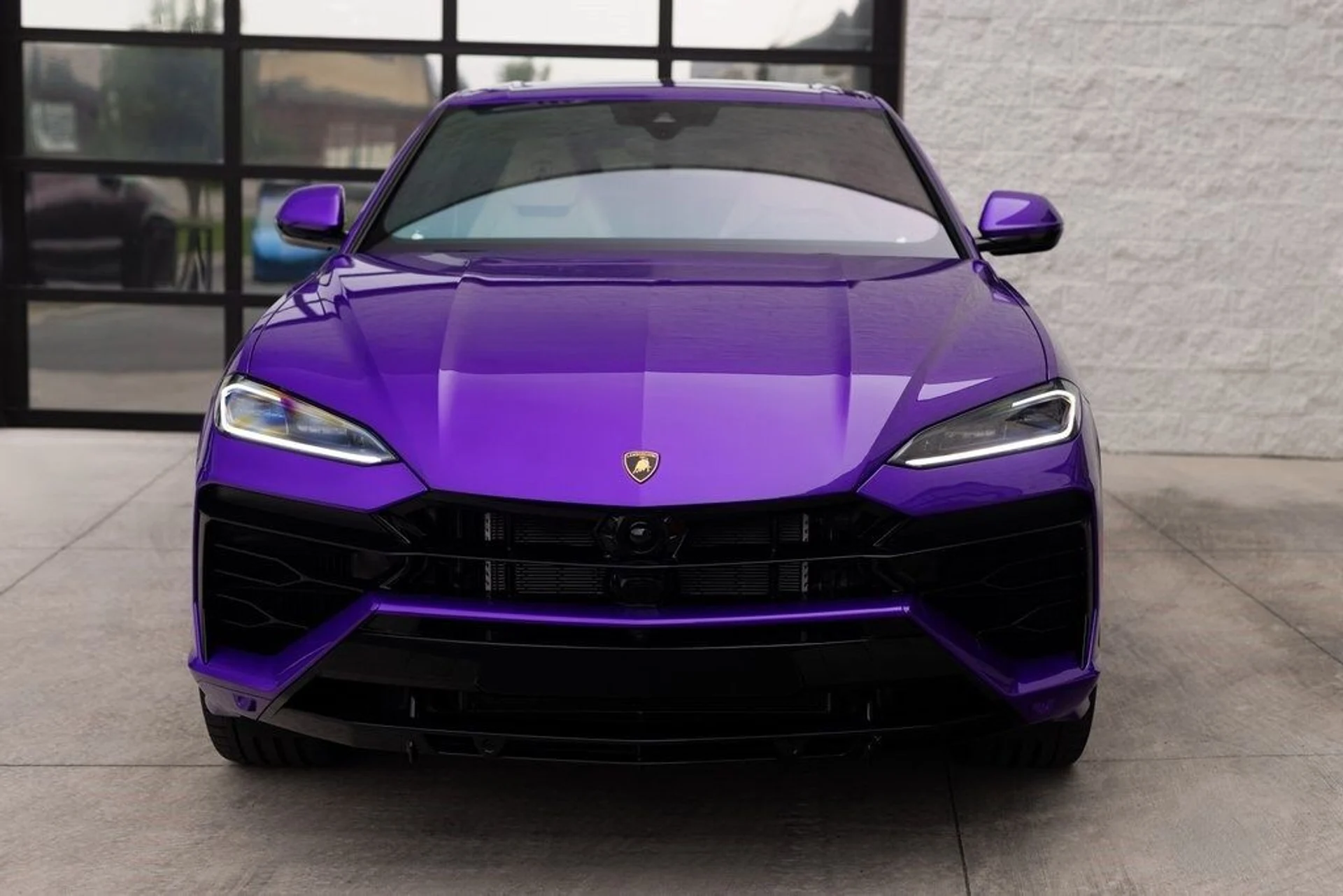 mph010_2336158598_edd45df59212bb3e8edf75f5573892fbx_bdc408fce0