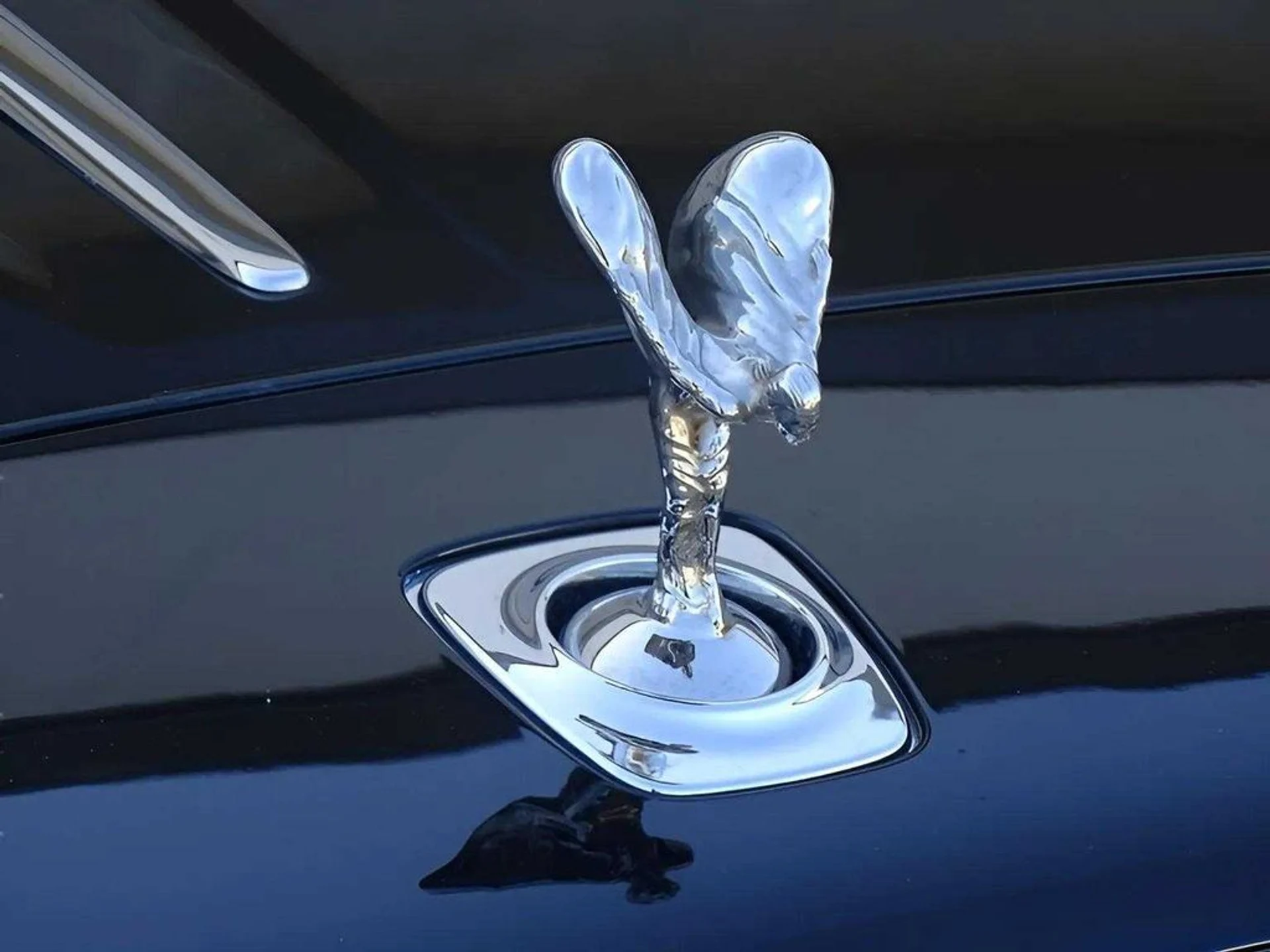 mph010_2389007281_69b8c6b712f3e25fc2cb415ce5122847x_ff83d02510