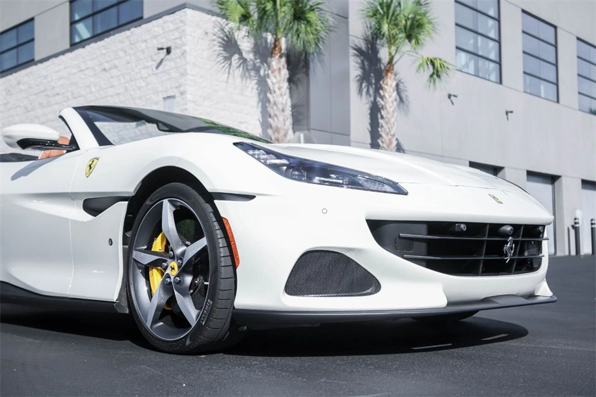 mph010_245434236_196826ca5f28dc9e264ab897e3db1d82_05066d0181