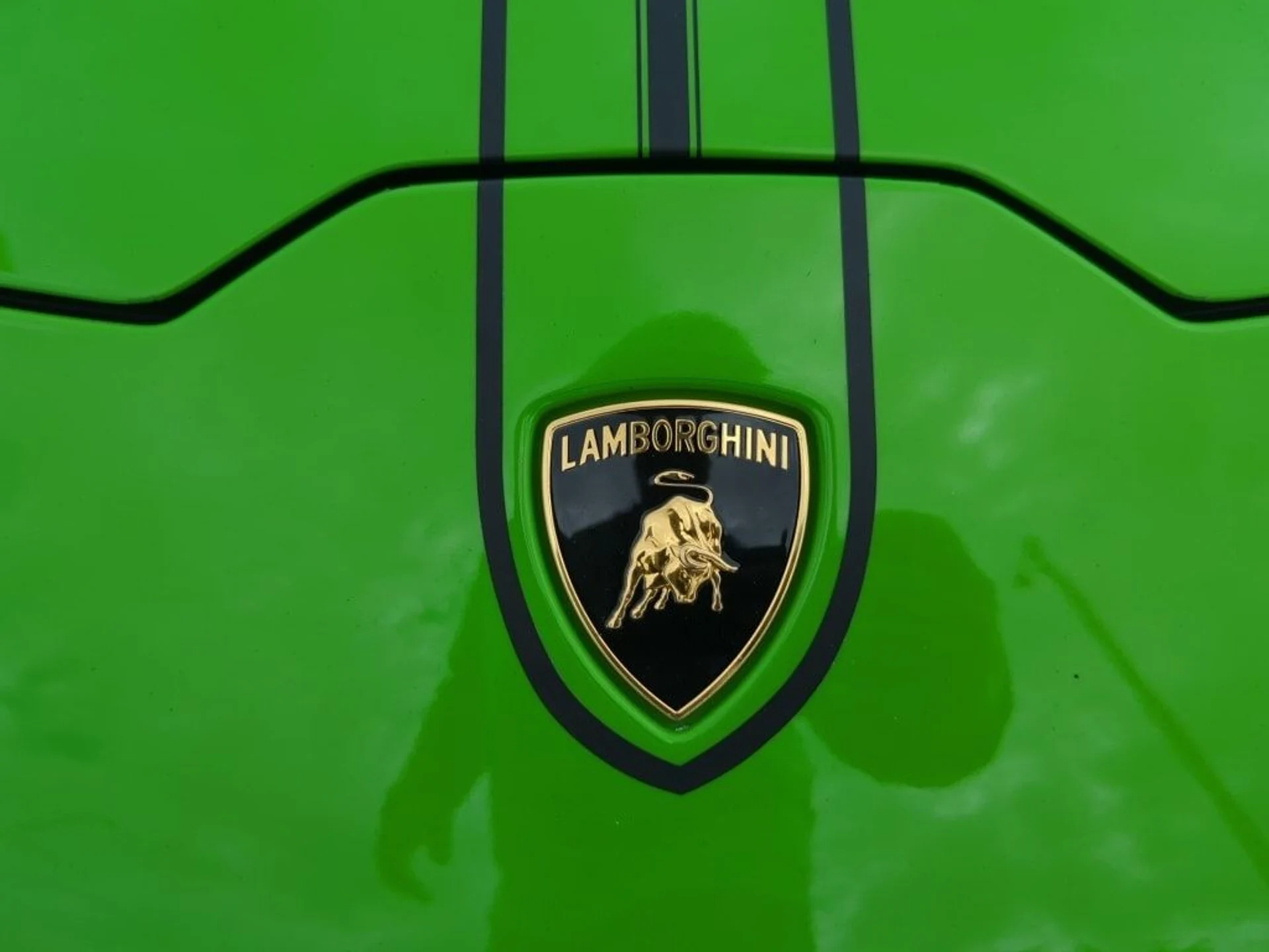 mph010_253137451_37392d1dd7f3a1f8b2d9ab3382282b8bx_033c8e943f