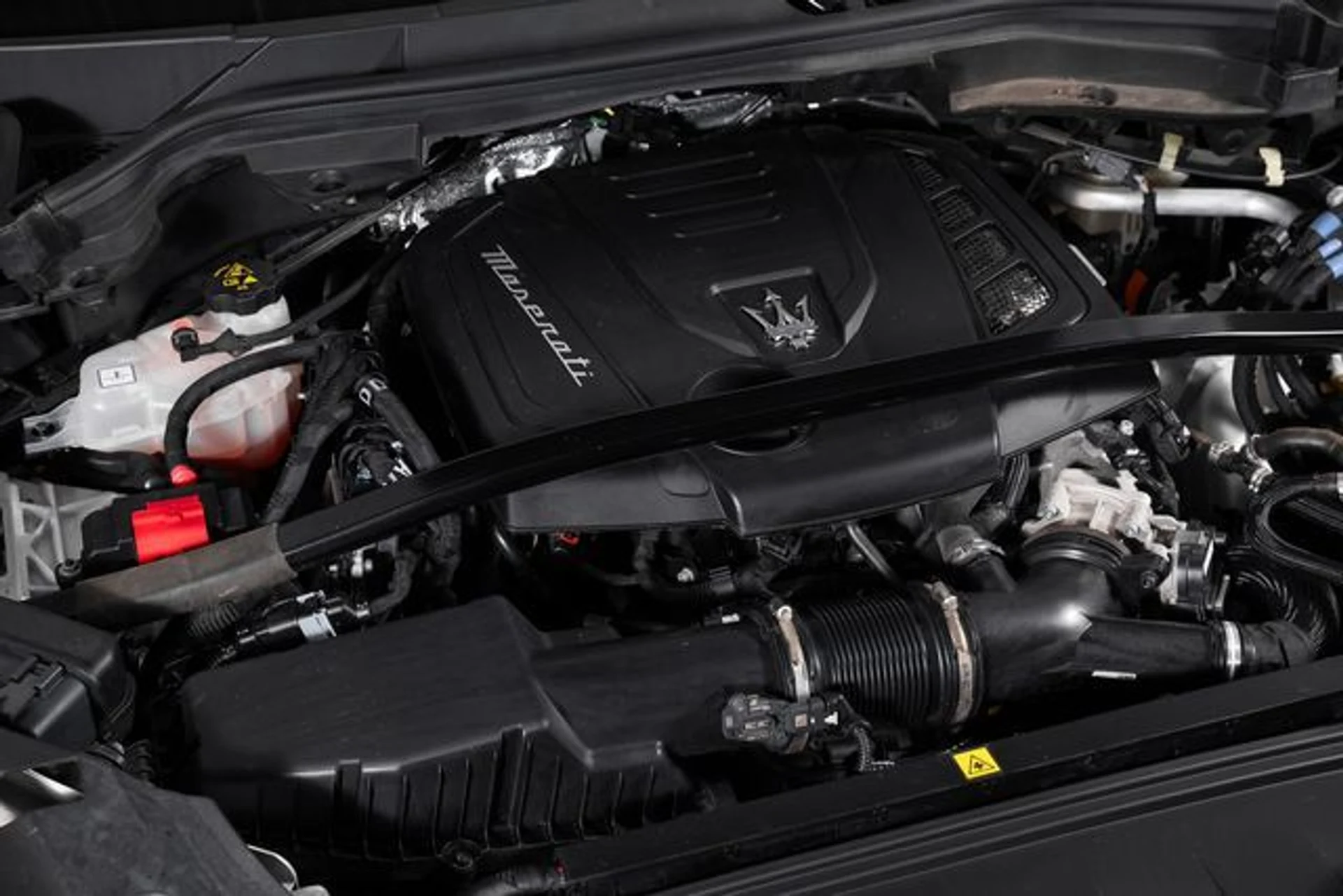 mph010_2559370538_d76613865a3ac491583245ed5c48658dx_7a42fc3d4e