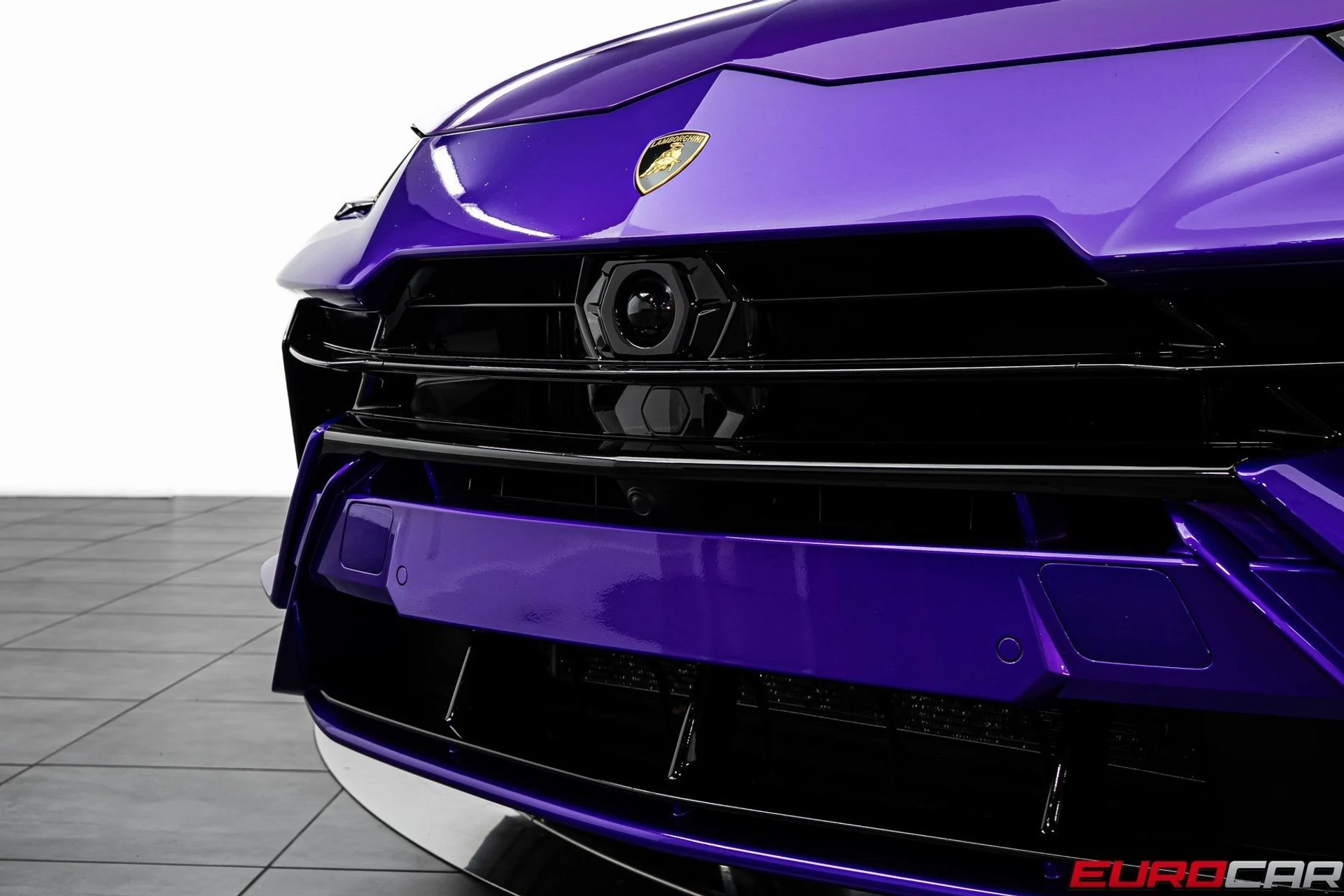 mph010_2581970890_image_11_a547dee86b