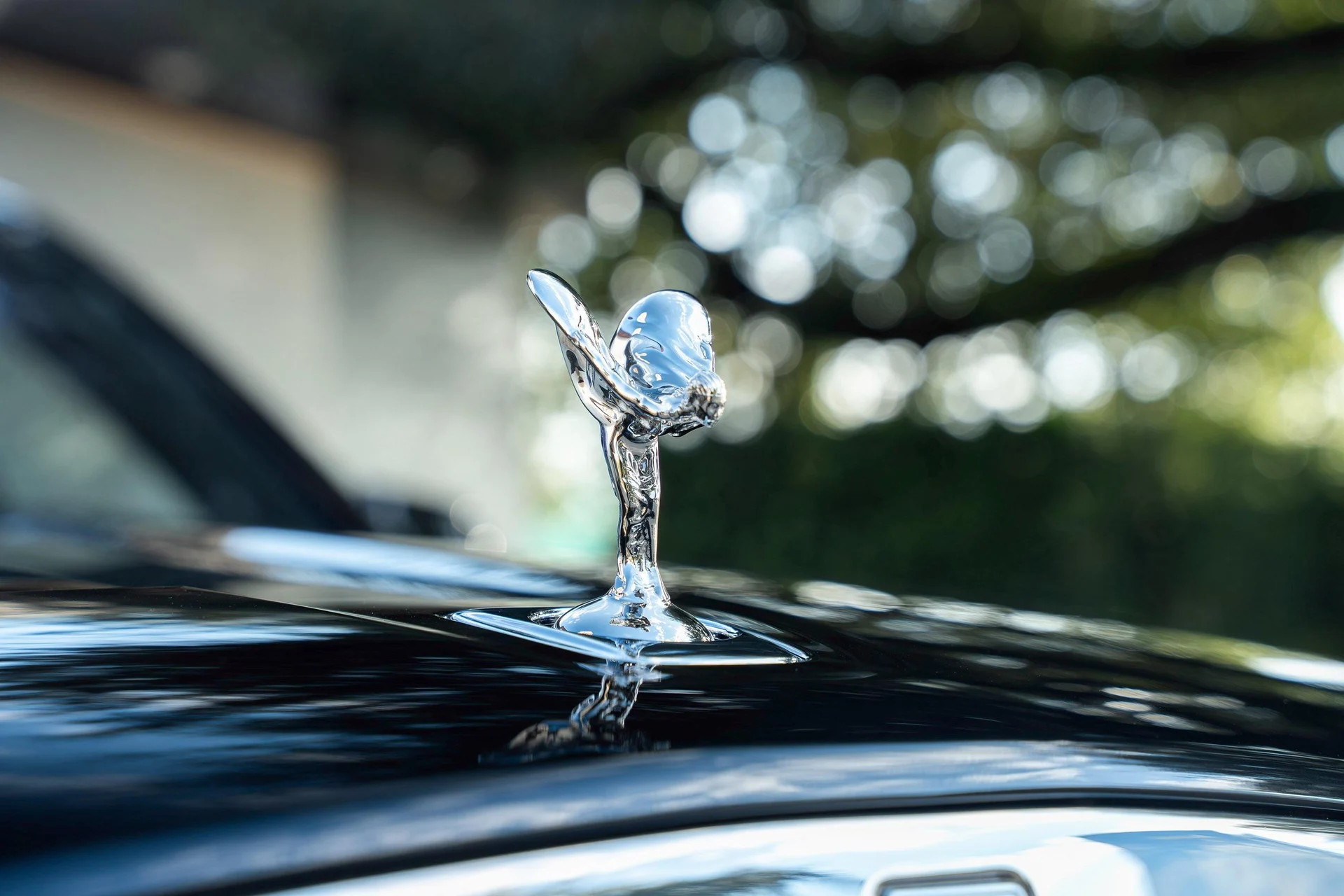 mph010_2581988846_459512611_695cc1628f3ee920bf518739_d4298ead00