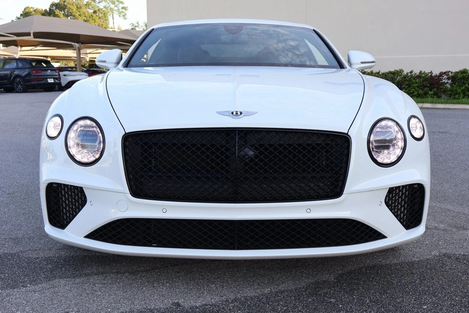 mph010_2622502454_11_6bbd85745d