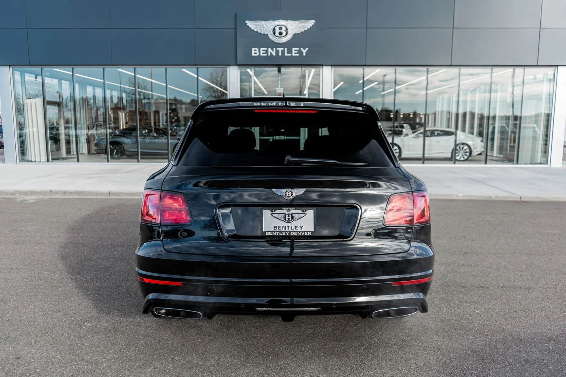 mph010_2640068717_0ea78ae2_5ae2_4233_9d10_29e602813e7c_5a7bc4ce96