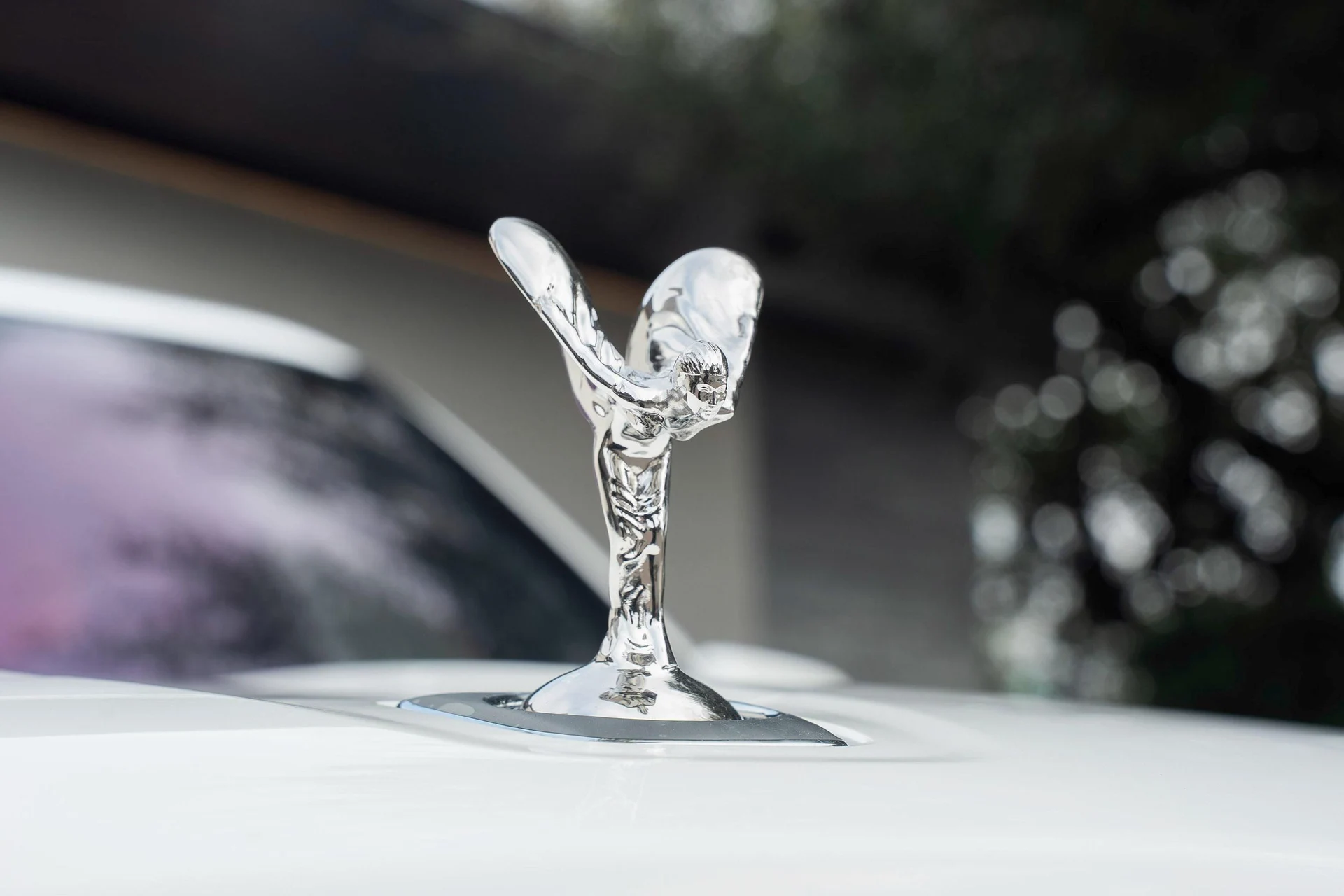 mph010_295099820_477983144_695f53e94b0ded1c3975a613_870b799782