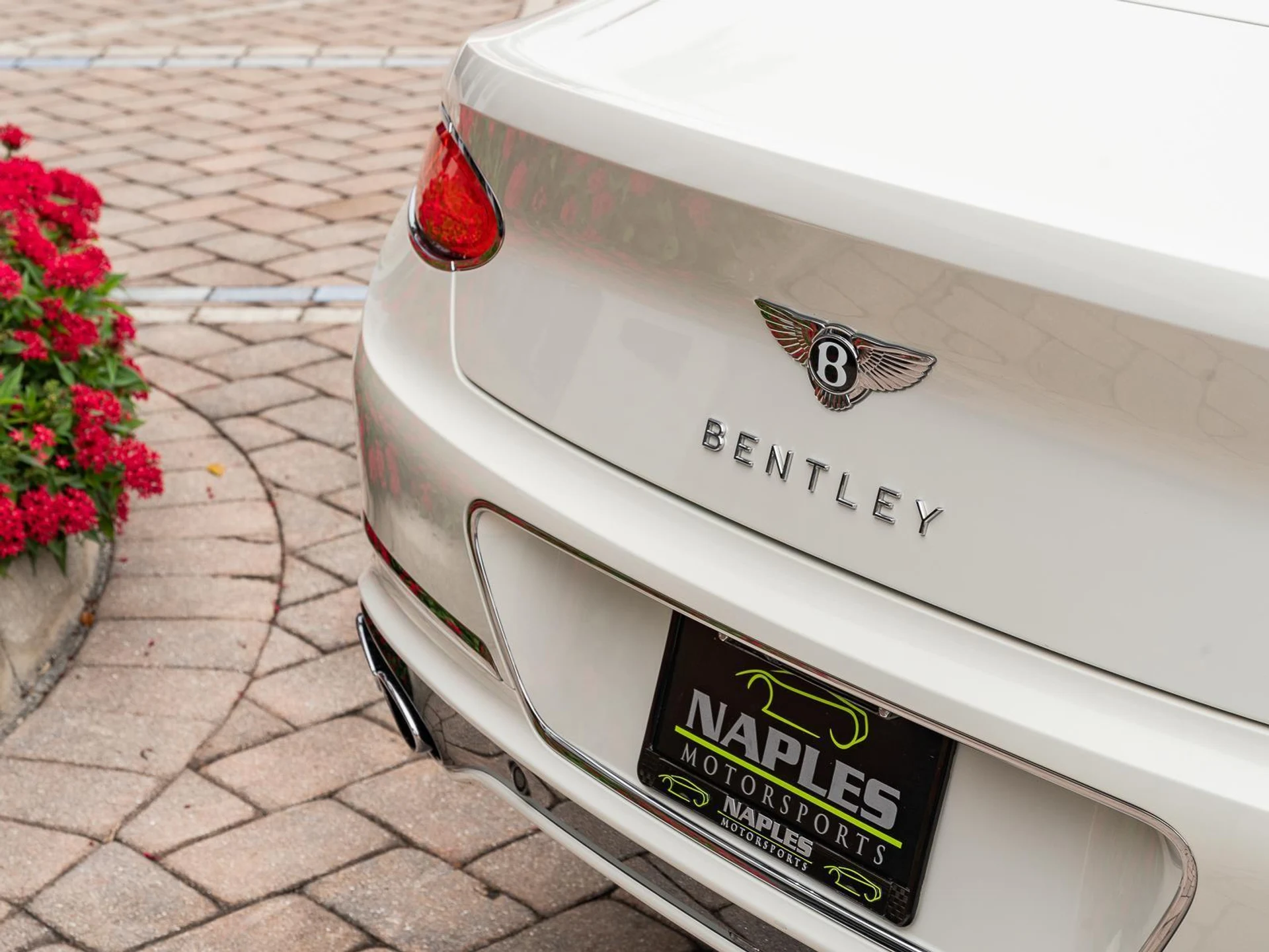 mph010_297969973_Used_2021_Bentley_Continental_GT_V8_1773777868_eace237e0c