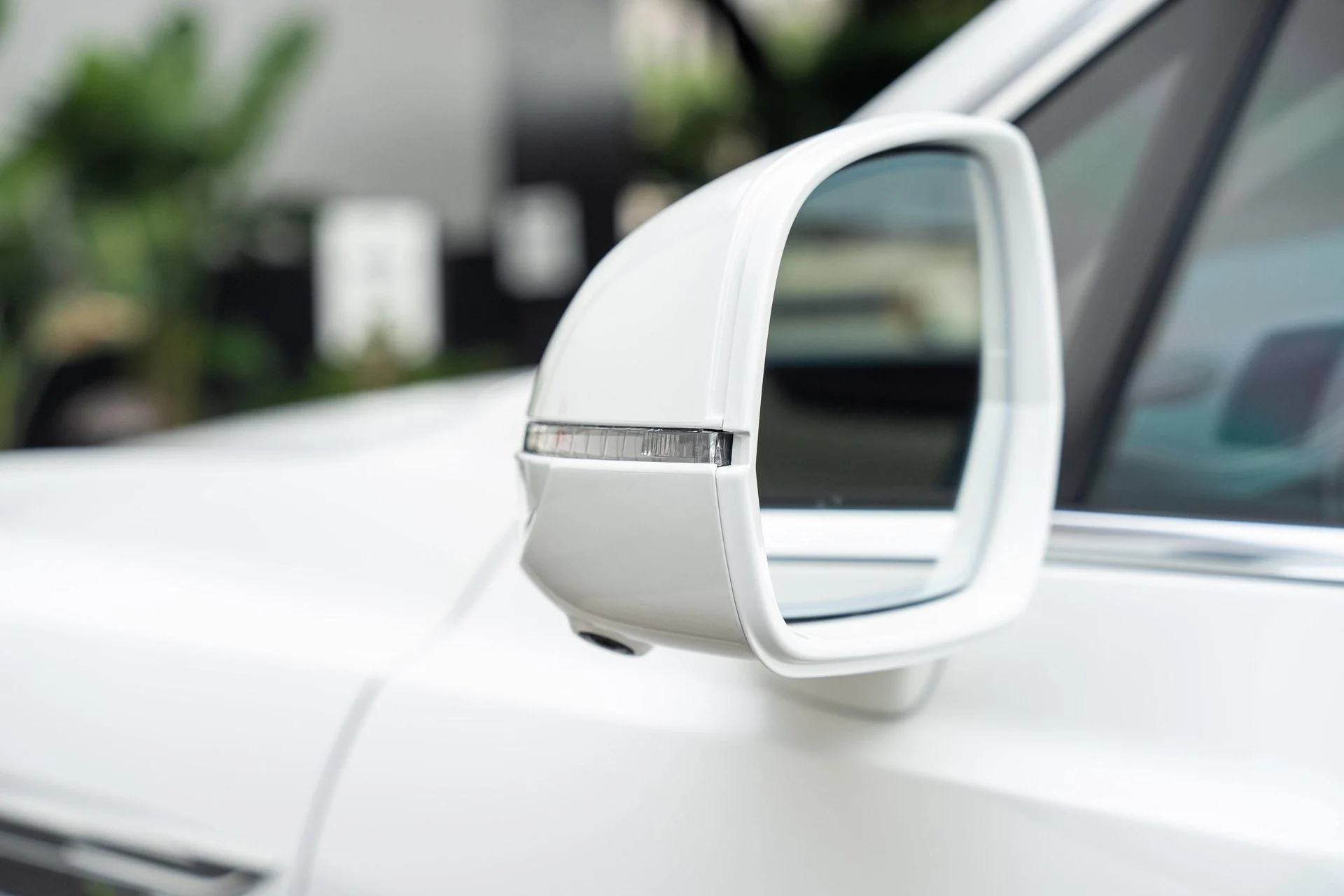 mph010_3010327028_389622358_677365412b7a94b33fd41a4d_3a9c44a019