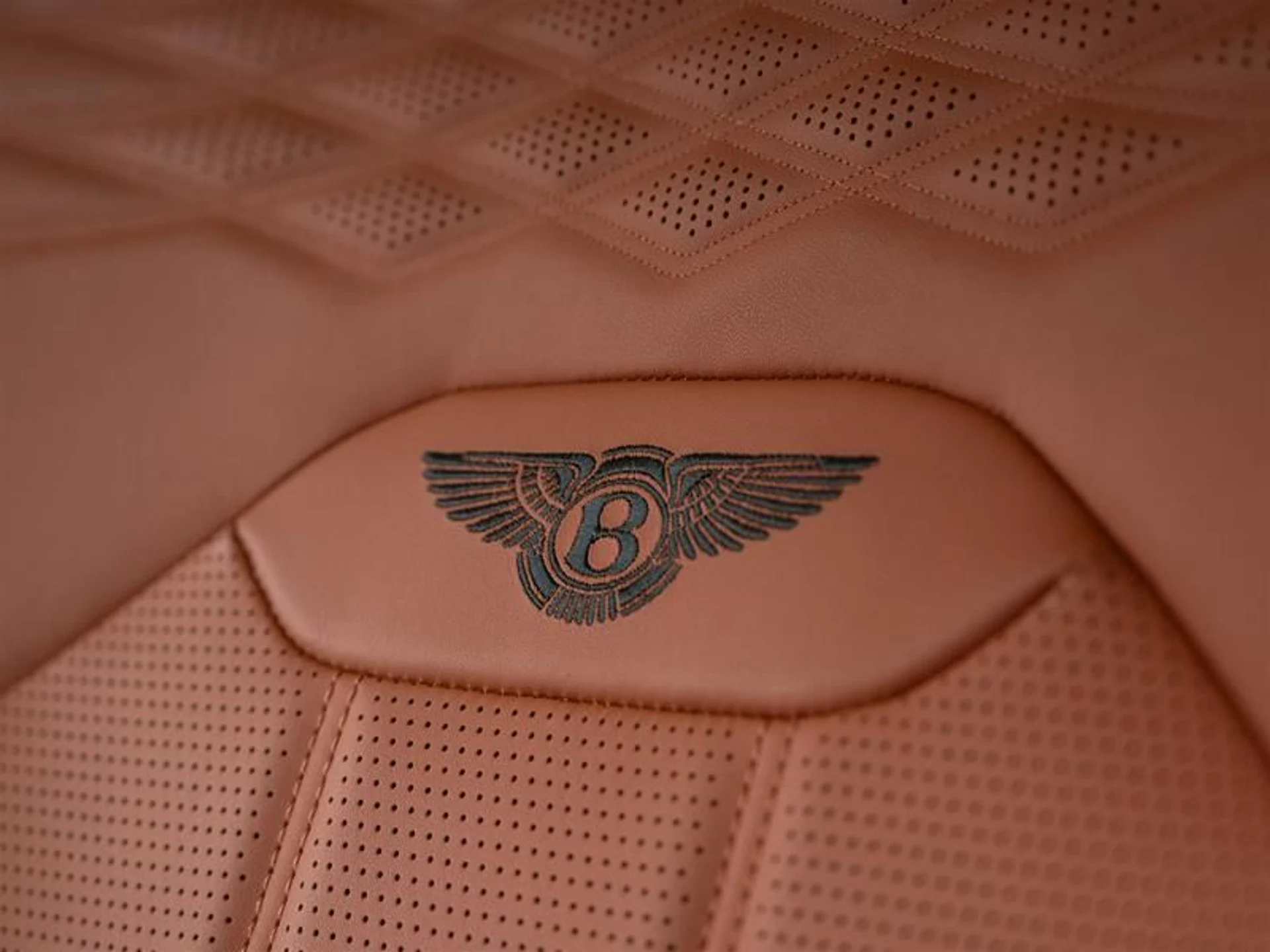 mph010_3016444727_f1stjiov_f54d5f6e2e