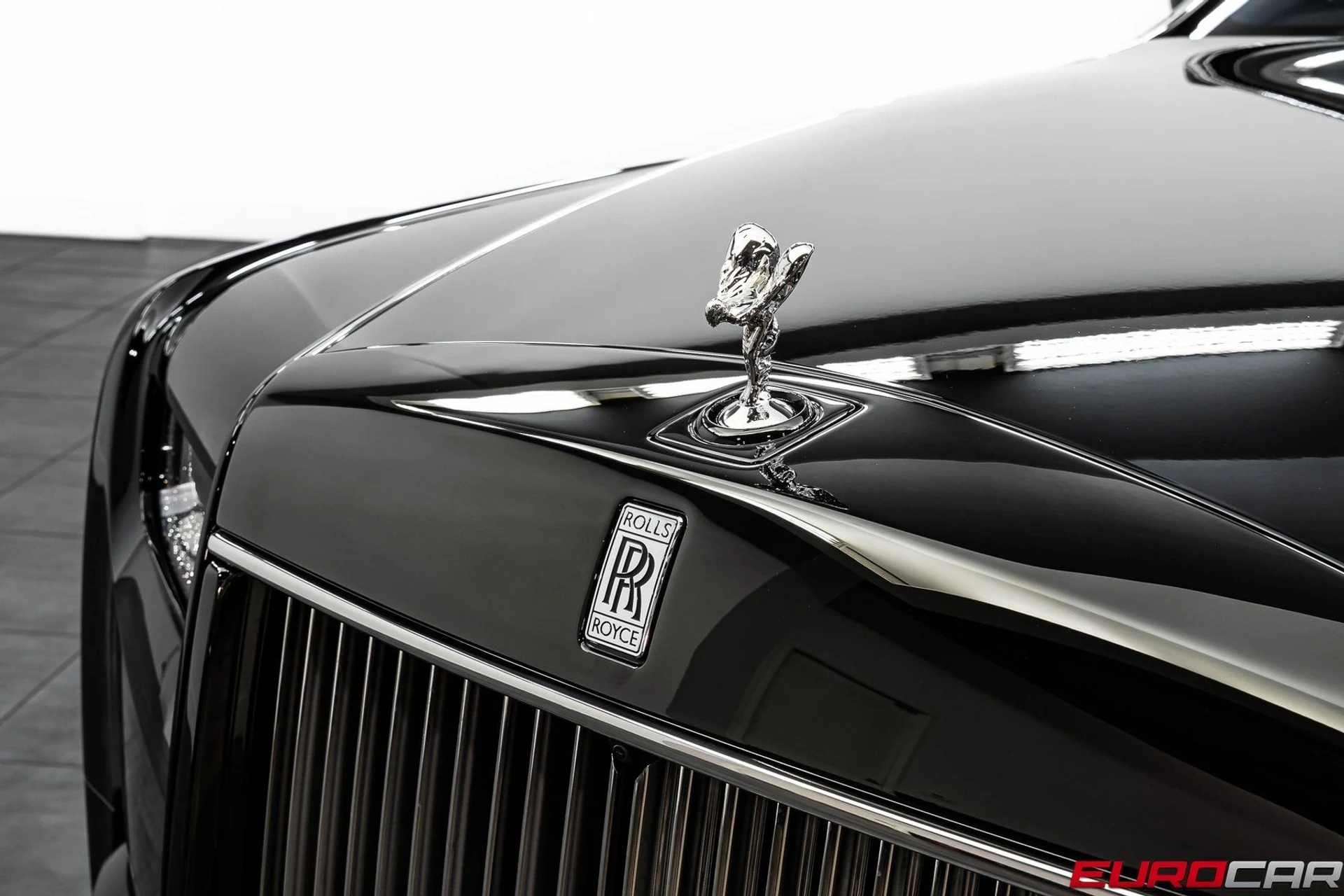 mph010_3017802251_image_11_464b603dbe