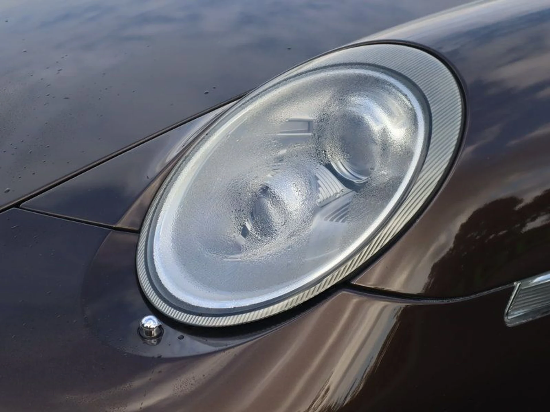 mph010_3083290291_37864176_08519_a8601ddf4d55250c4661b3034fa5d9aa_046653613a