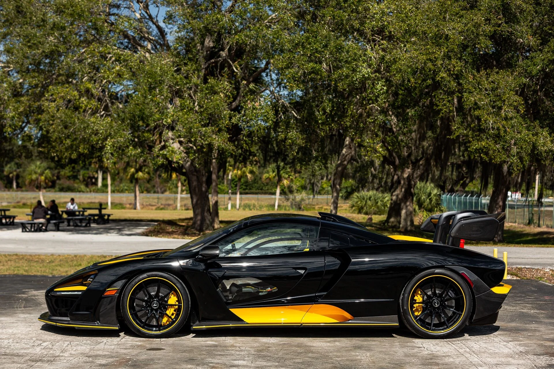 mph010_3109119930_131_p11_l_b5d577e996