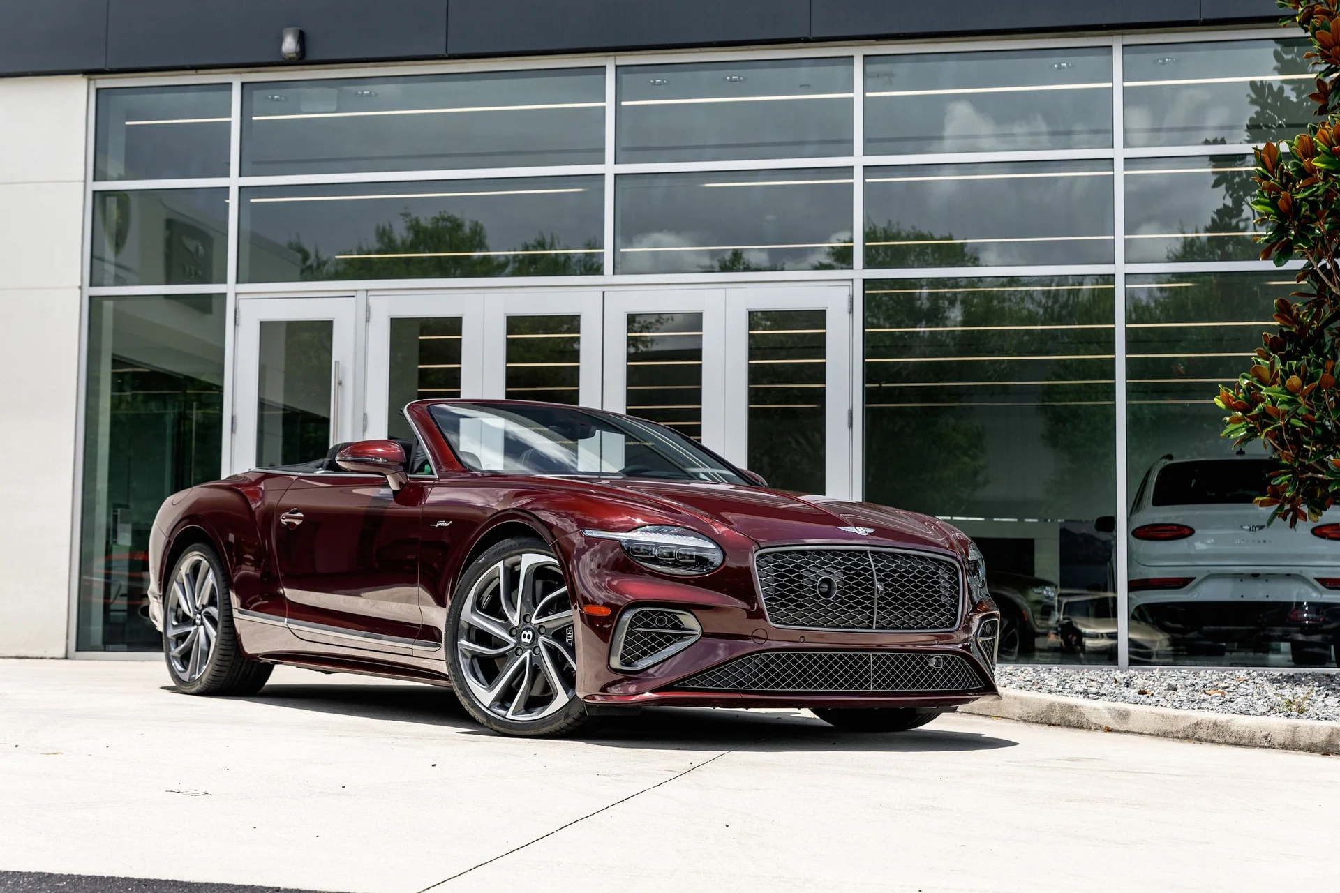 mph010_3113218522_6761506f3edc59943e04135882f374f5x_313e360502