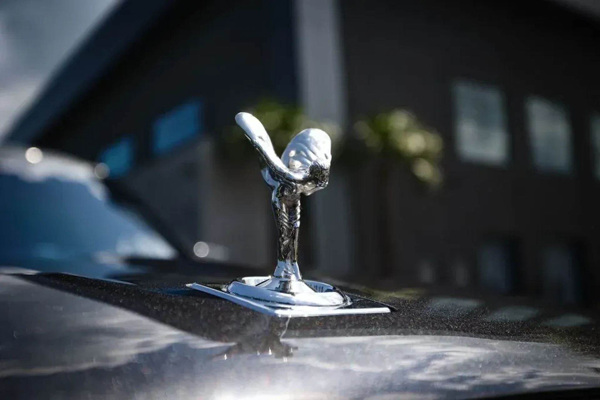 mph010_3166885312_6352276662eb25c3eea20c6495b054b0_766f9f905a