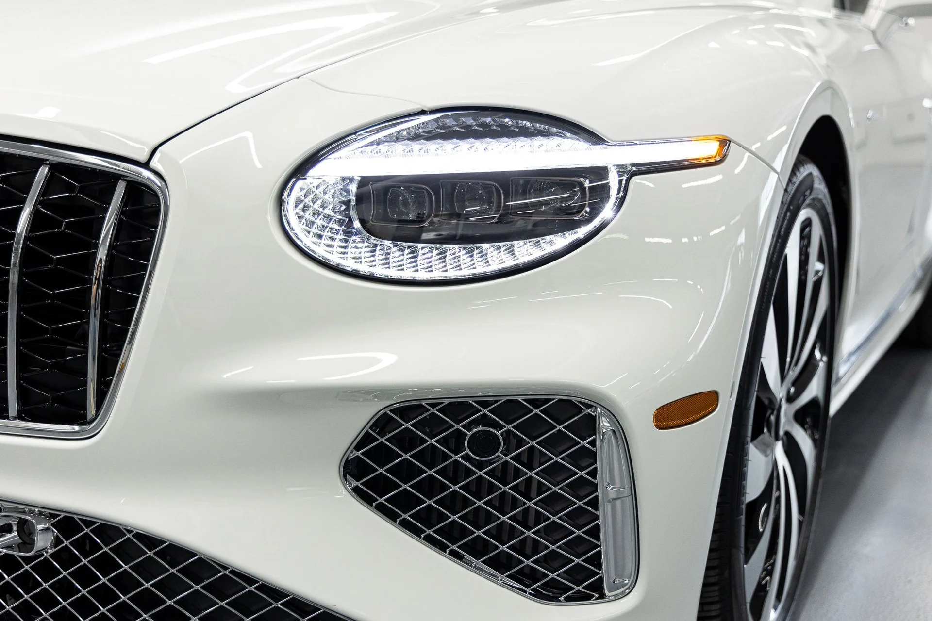 mph010_3169062877_cb7fca228803a3adcfb04d5a1ad76215x_a1dc18a714