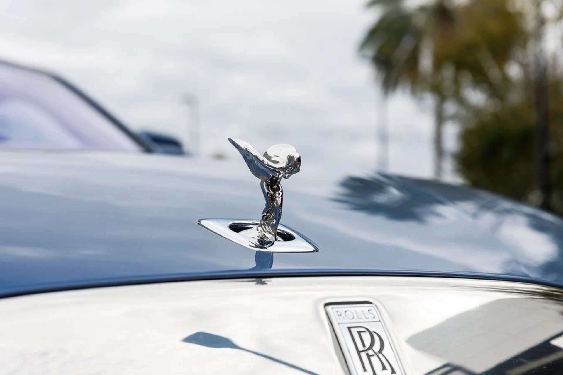 mph010_3185913789_1f247f6c3a853f57bbaa232f87bb0a45_82a15d1098