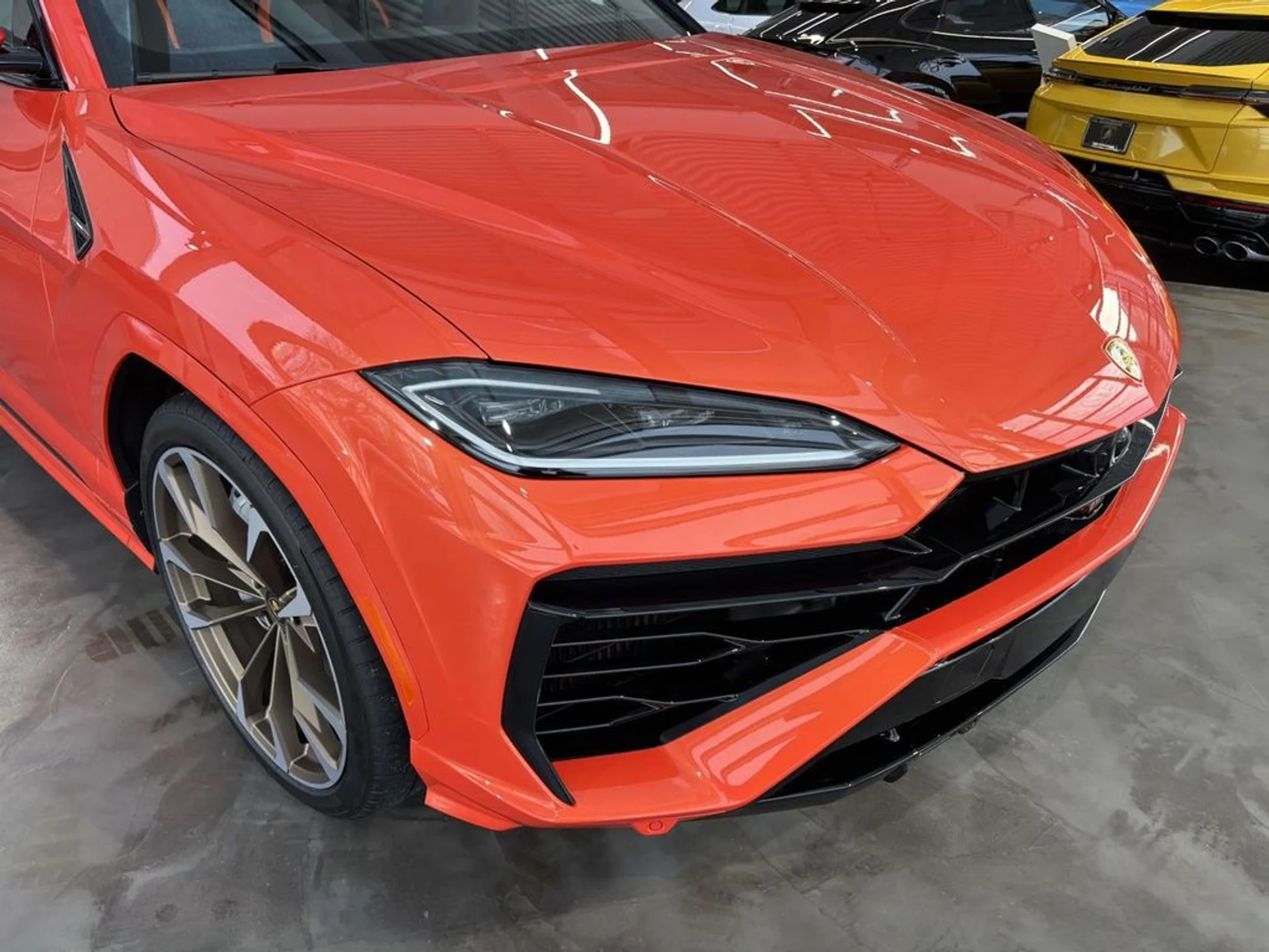 mph010_3202877635_a2ddca32d1cbdc03299bf6b902538fb4x_827dc9f48d