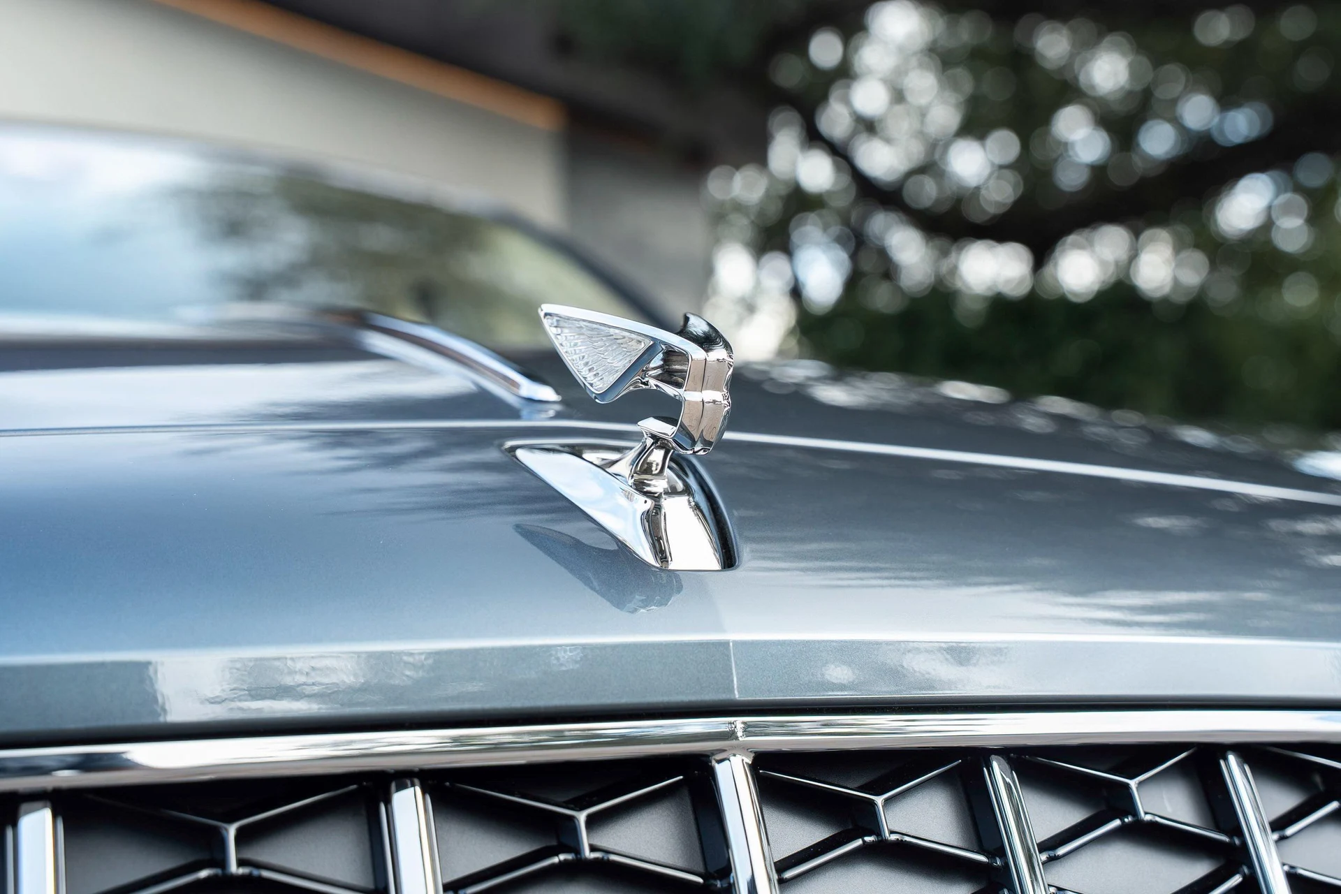 mph010_3311252828_477619931_6954c0354e73cd9f103f504c_e7be29bb0a