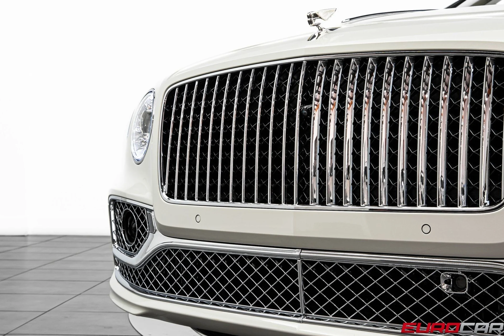 mph010_3381573790_image_11_8f1fb54068