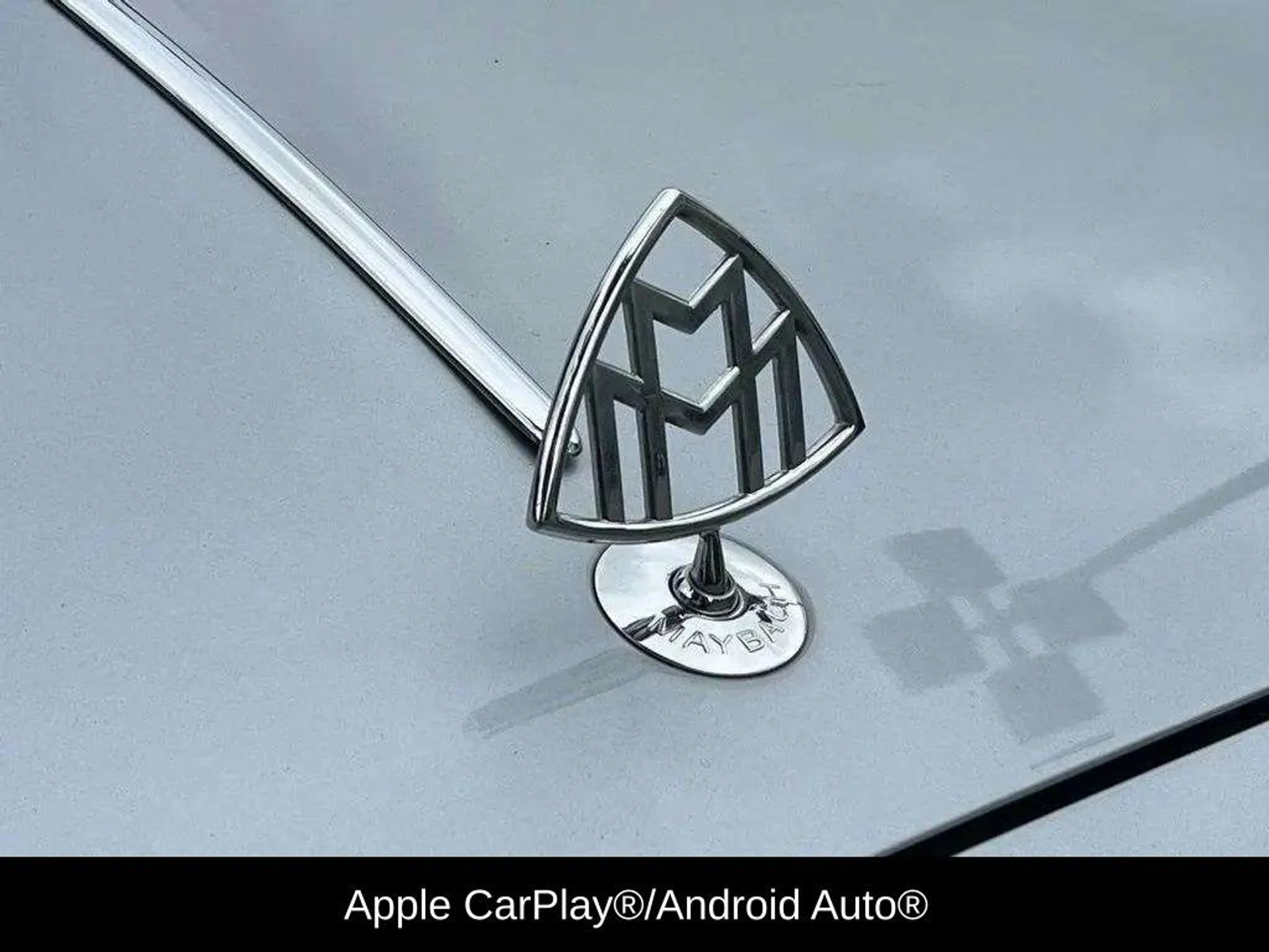 mph010_338898036_7bad30fd15053ab4a7e7695f4ea91e78x_cbf7afba6f