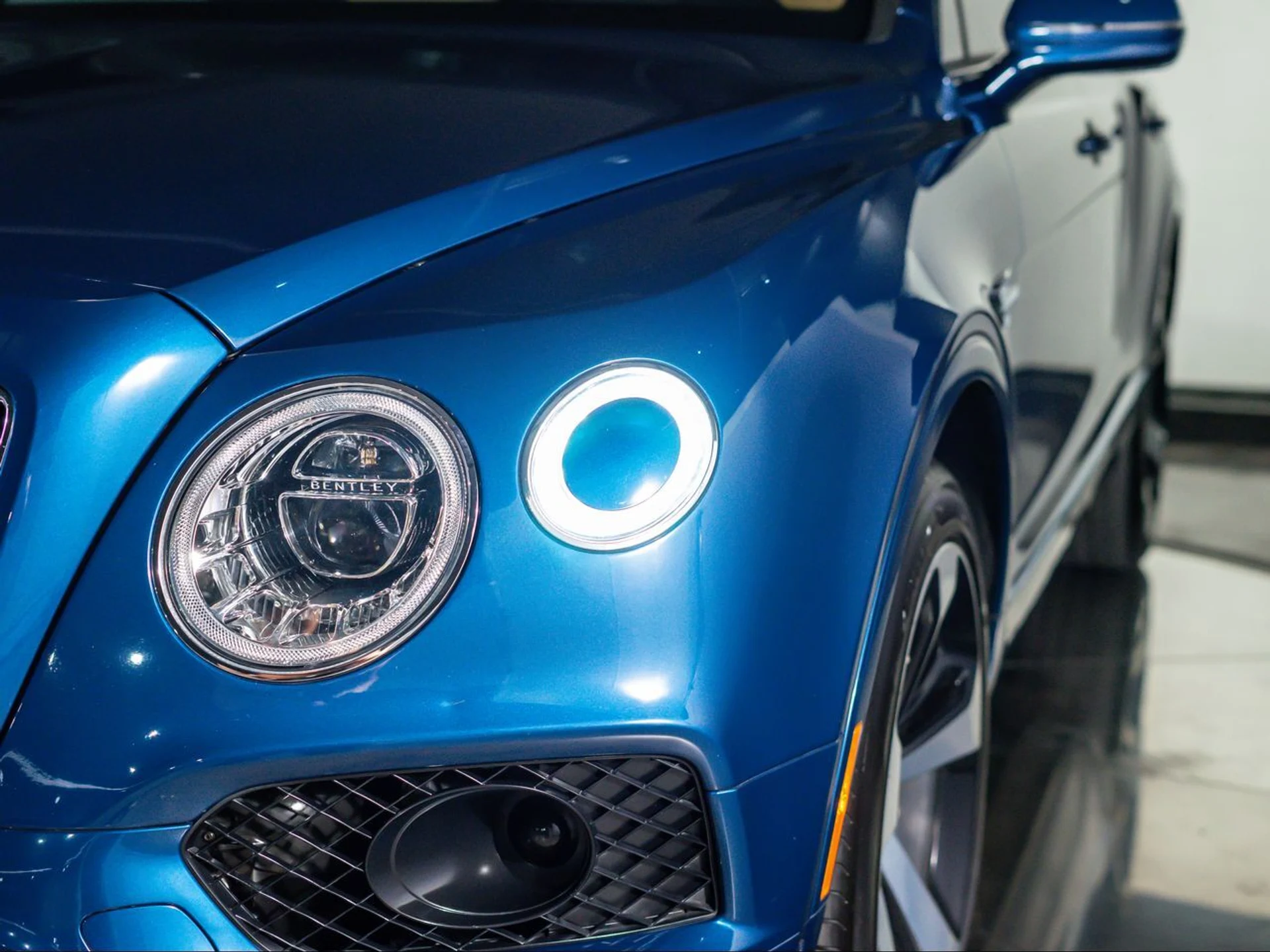 mph010_3417378118_d6a67e27269e7047083aee9d90f177fb_07ec0f7aa2