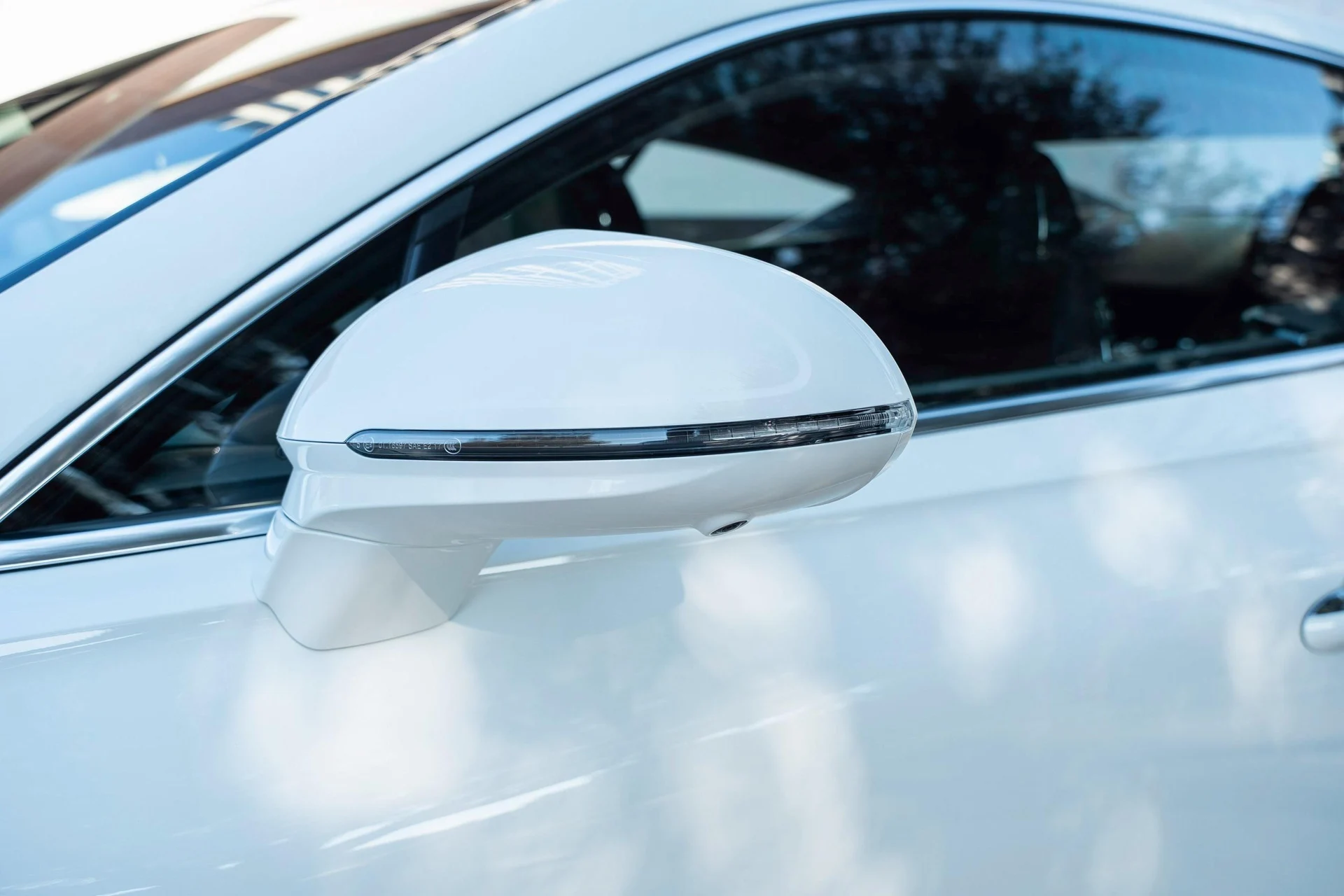 mph010_3425204692_458241673_68ef21bf026595e72669994a_bb289c19b4