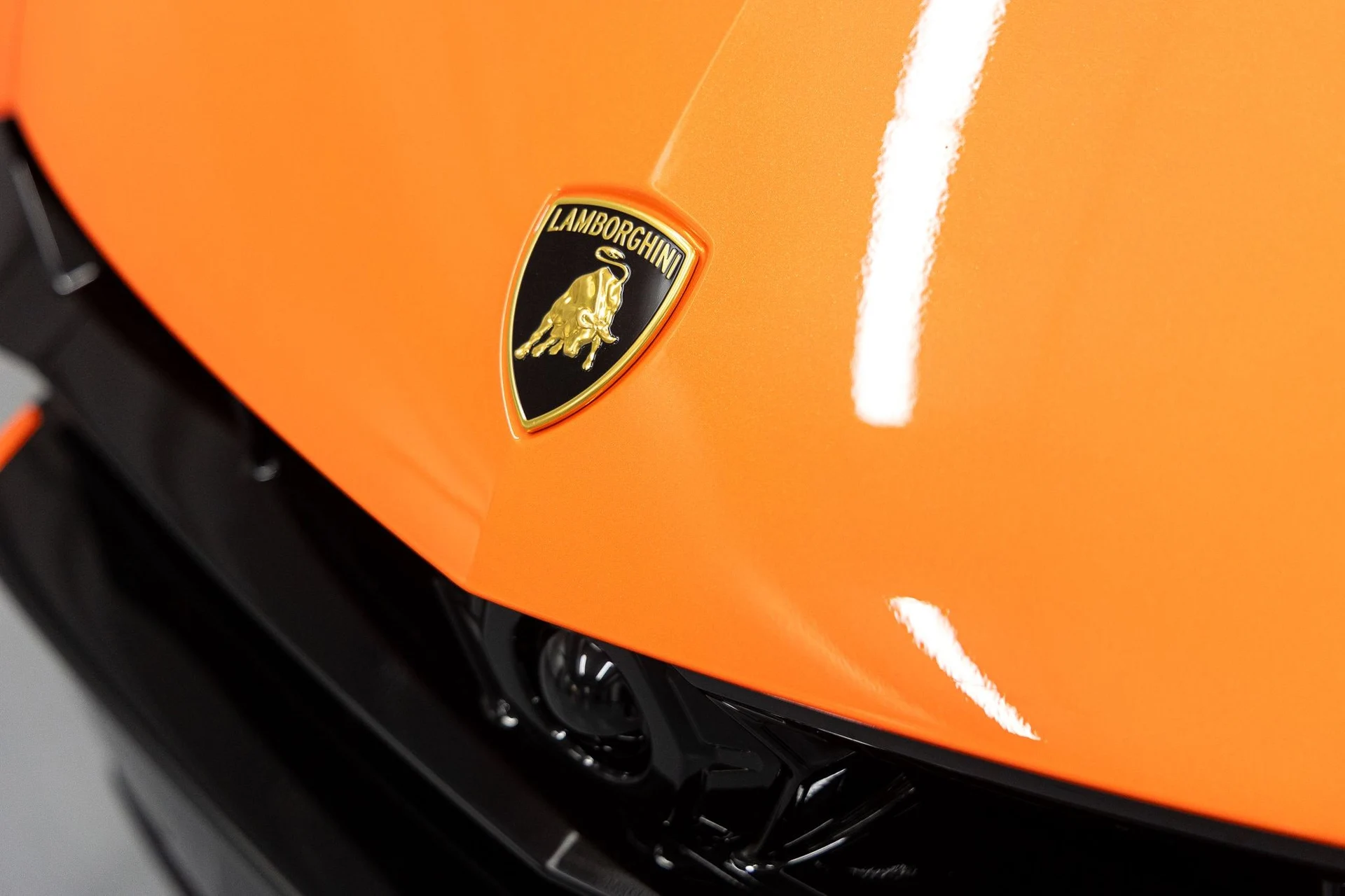 mph010_3435166515_3b459ab570c2ef3c17082072020871c5x_f582b0a166