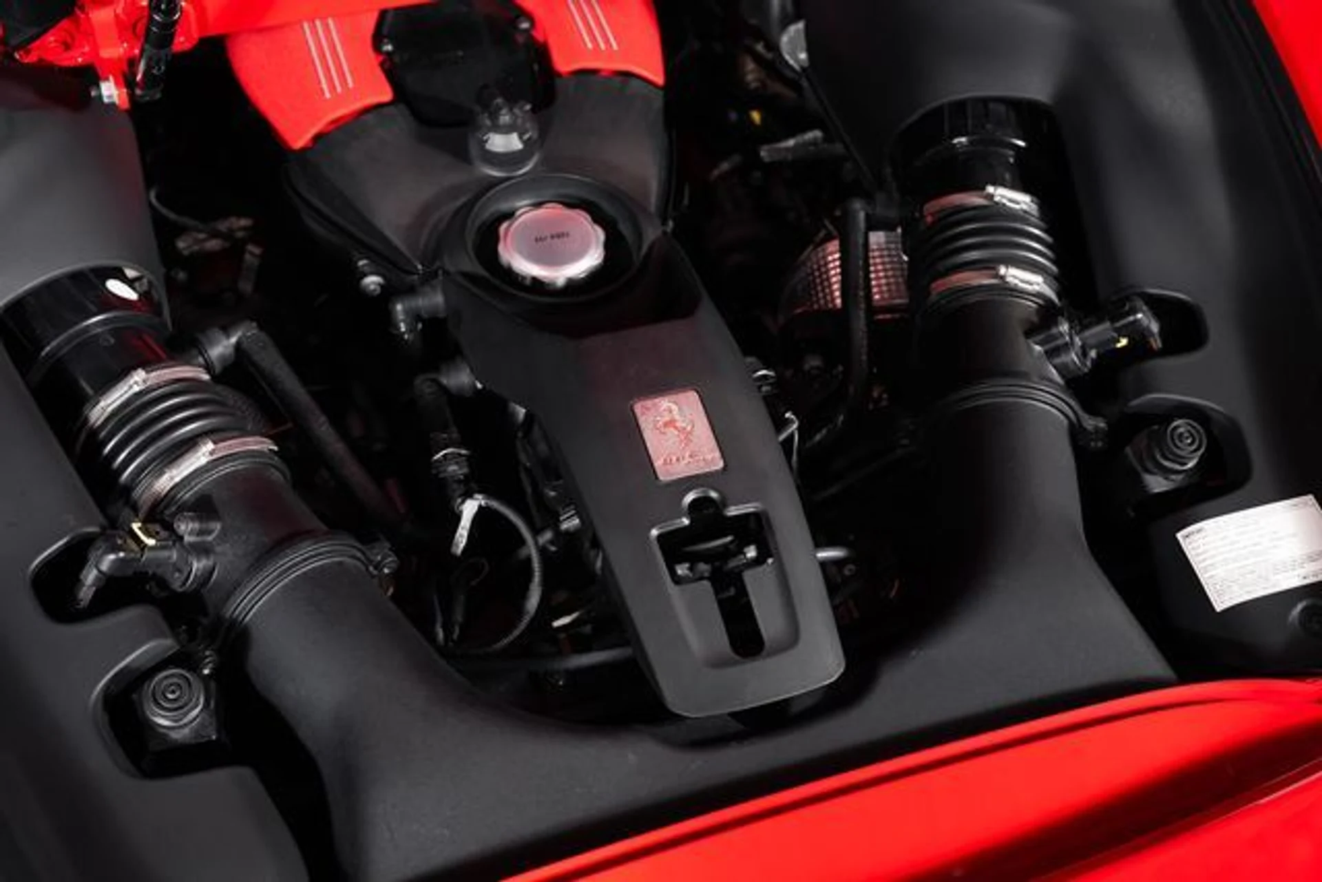 mph010_3456562715_ed9ac076d79f5a8f13908d6634e3b3a4x_7b25dcb1cc