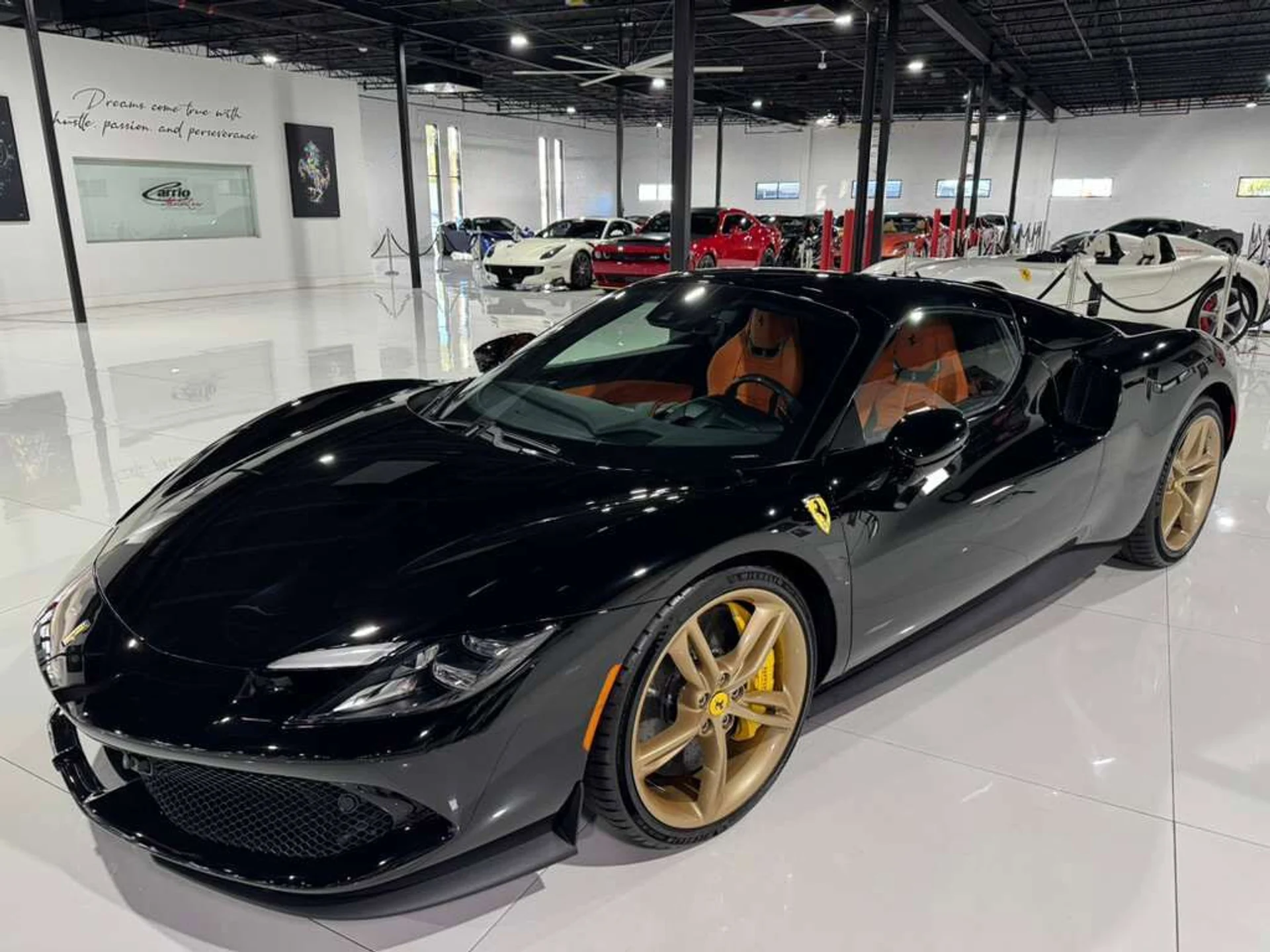 mph010_3456854701_624401ce60f0dff6b3e962ab78dbc3cc_1a3b728953