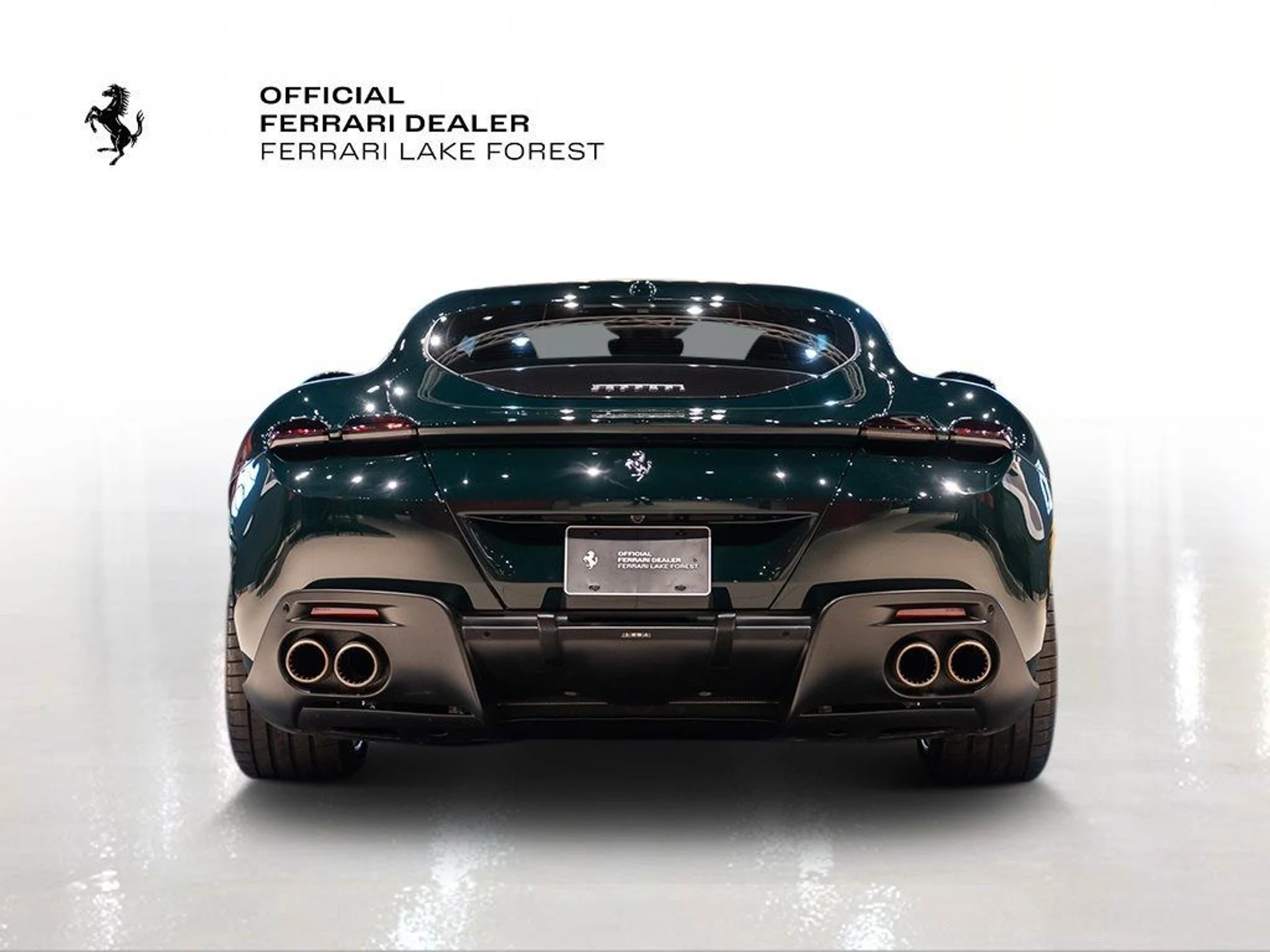 mph010_3478096743_70d1eb75f62a40e08e3cf482ee0a4a28_a16dbc977c