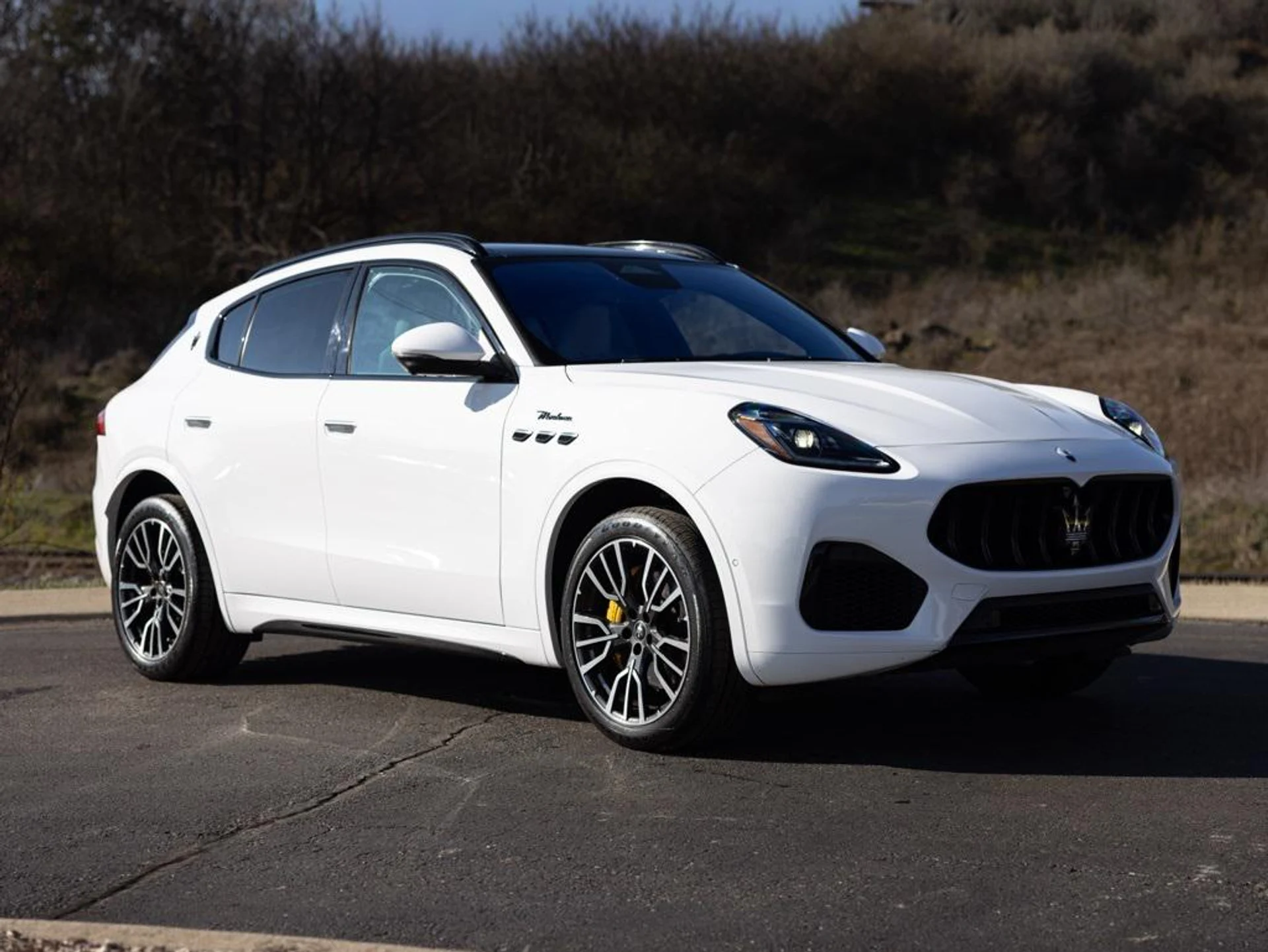 mph010_3517114829_480723428_694422f64f23a11bfcaf53dd_eee64d728c