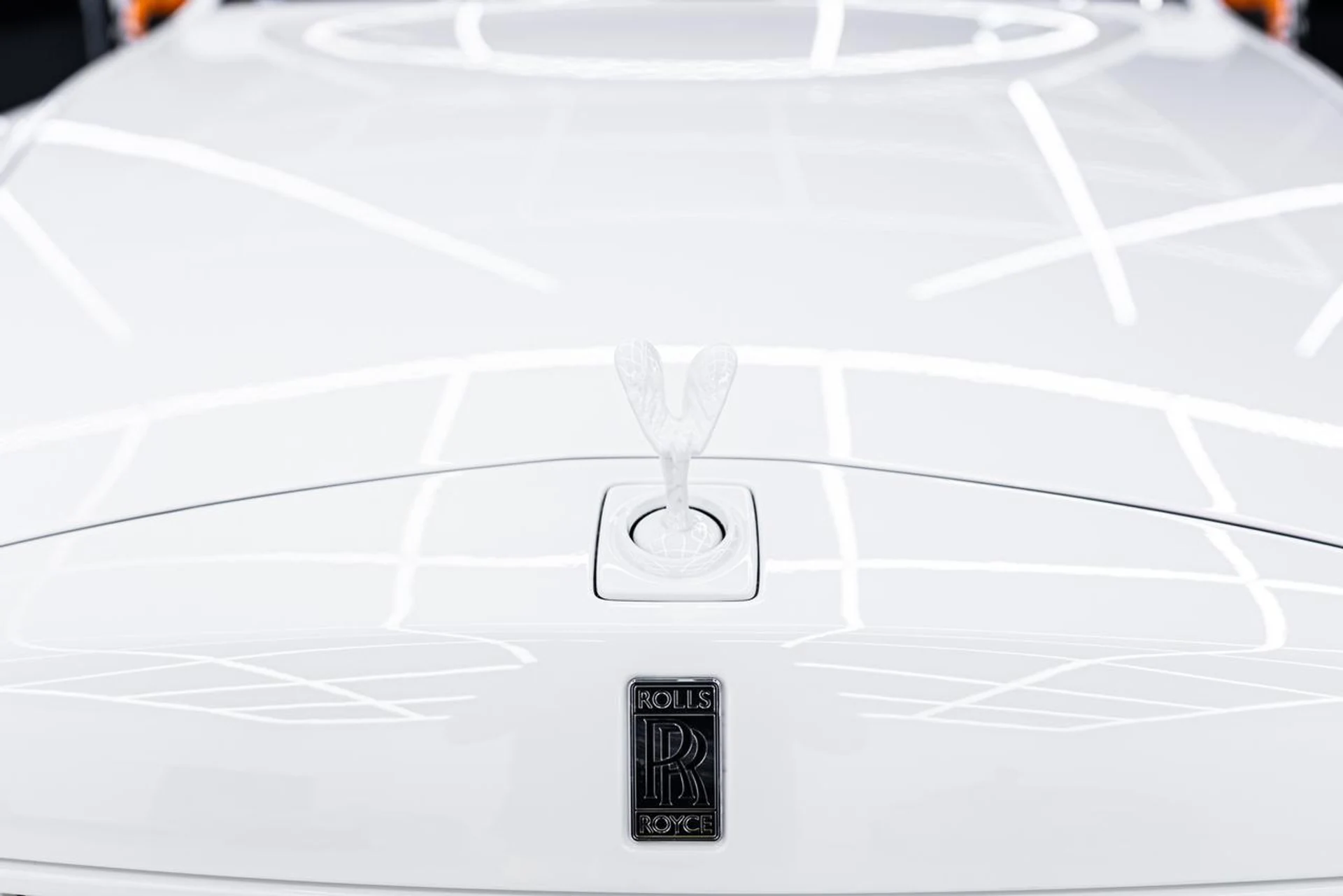 mph010_3543081466_473419dc82ab467cb44e8e90d3dad335_96bbd87315