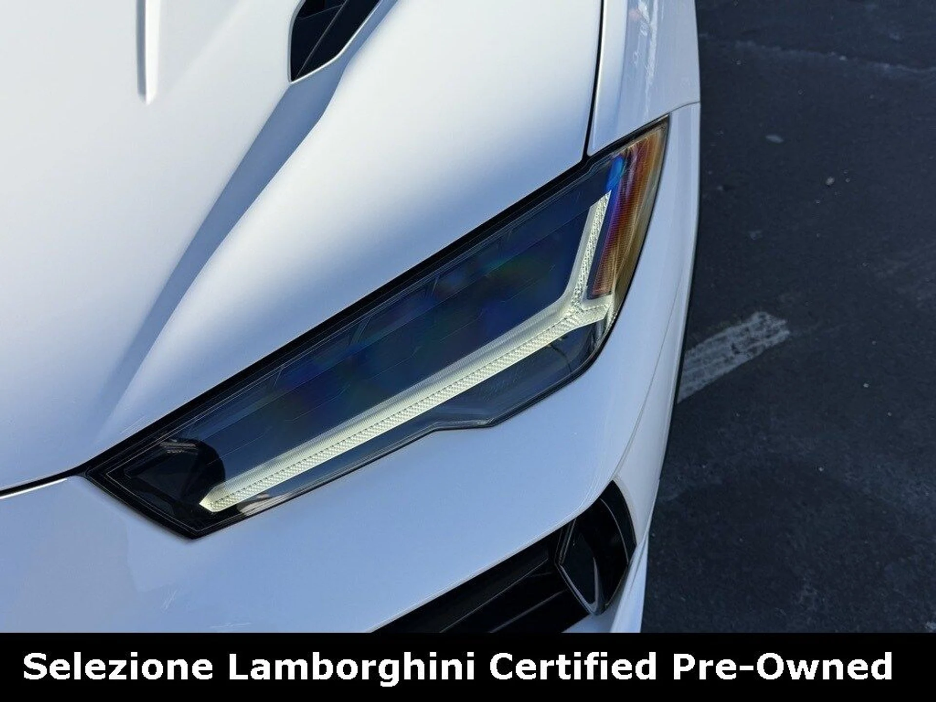 mph010_3579922745_74d5eafeb77f9dca8d60ee8f259e8681x_10cb96464b