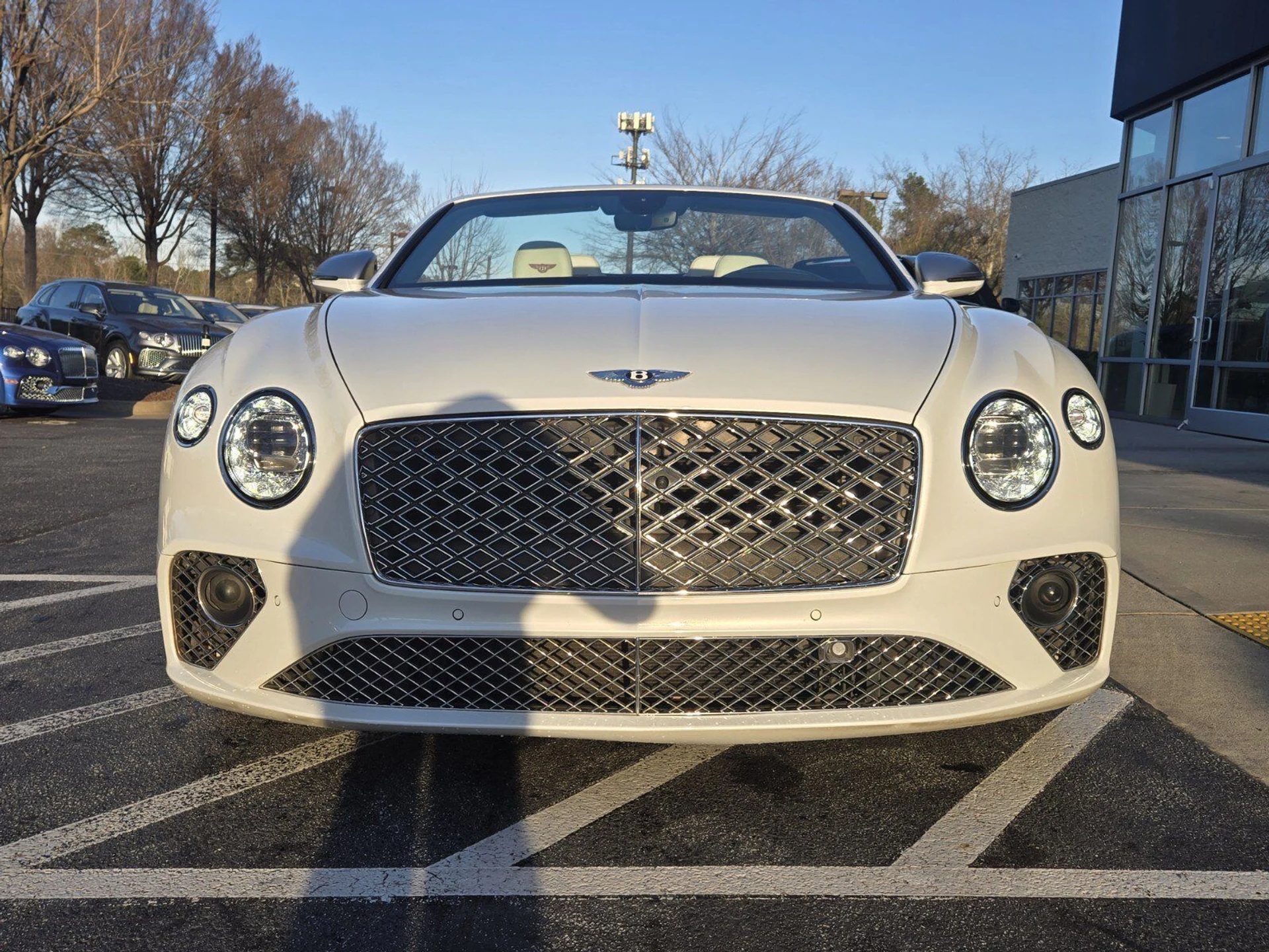 mph010_3590425502_f7ba8e4df56e2d2289ab278545b84eb1x_63bc81d268