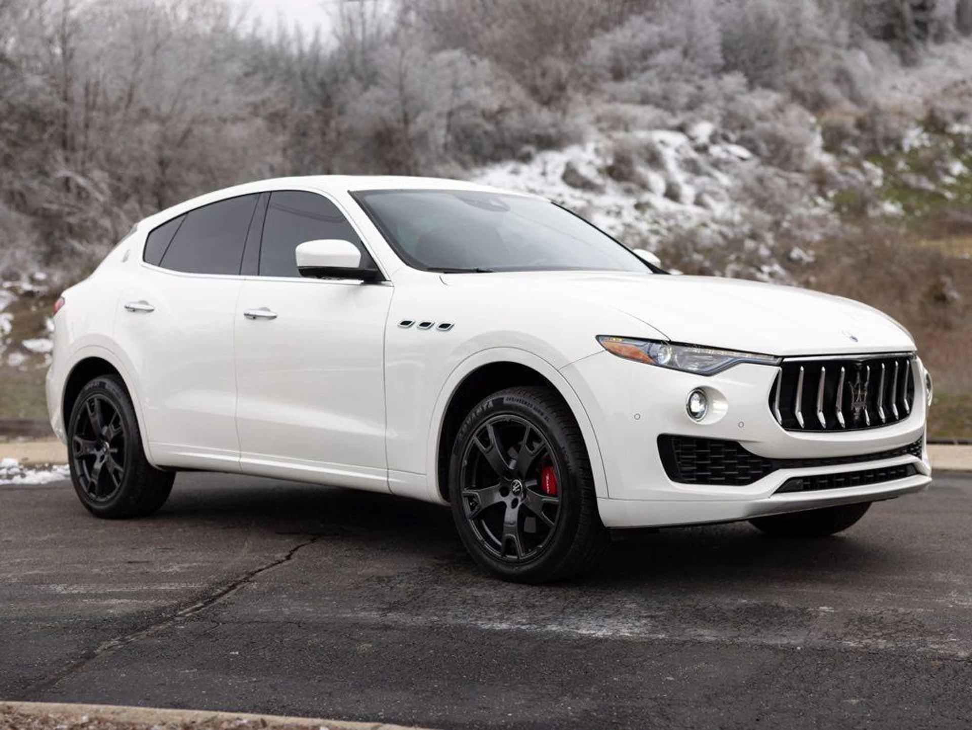 mph010_369625528_490082366_697e1d85241a57c3178fffb6_62150d13e2