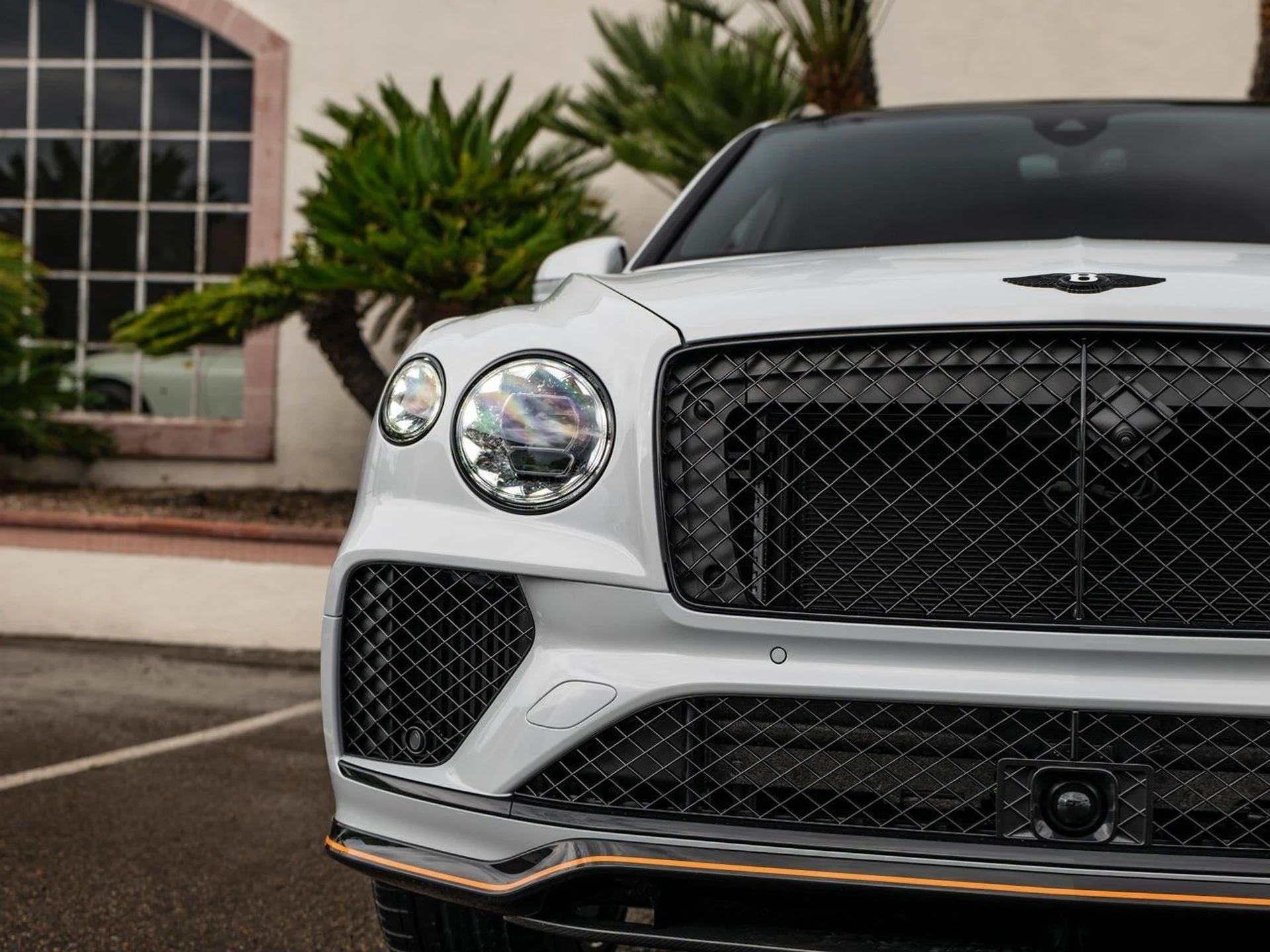 mph010_3709088952_926398975b934f4313d701e6f20b9ea4x_743ce1897e