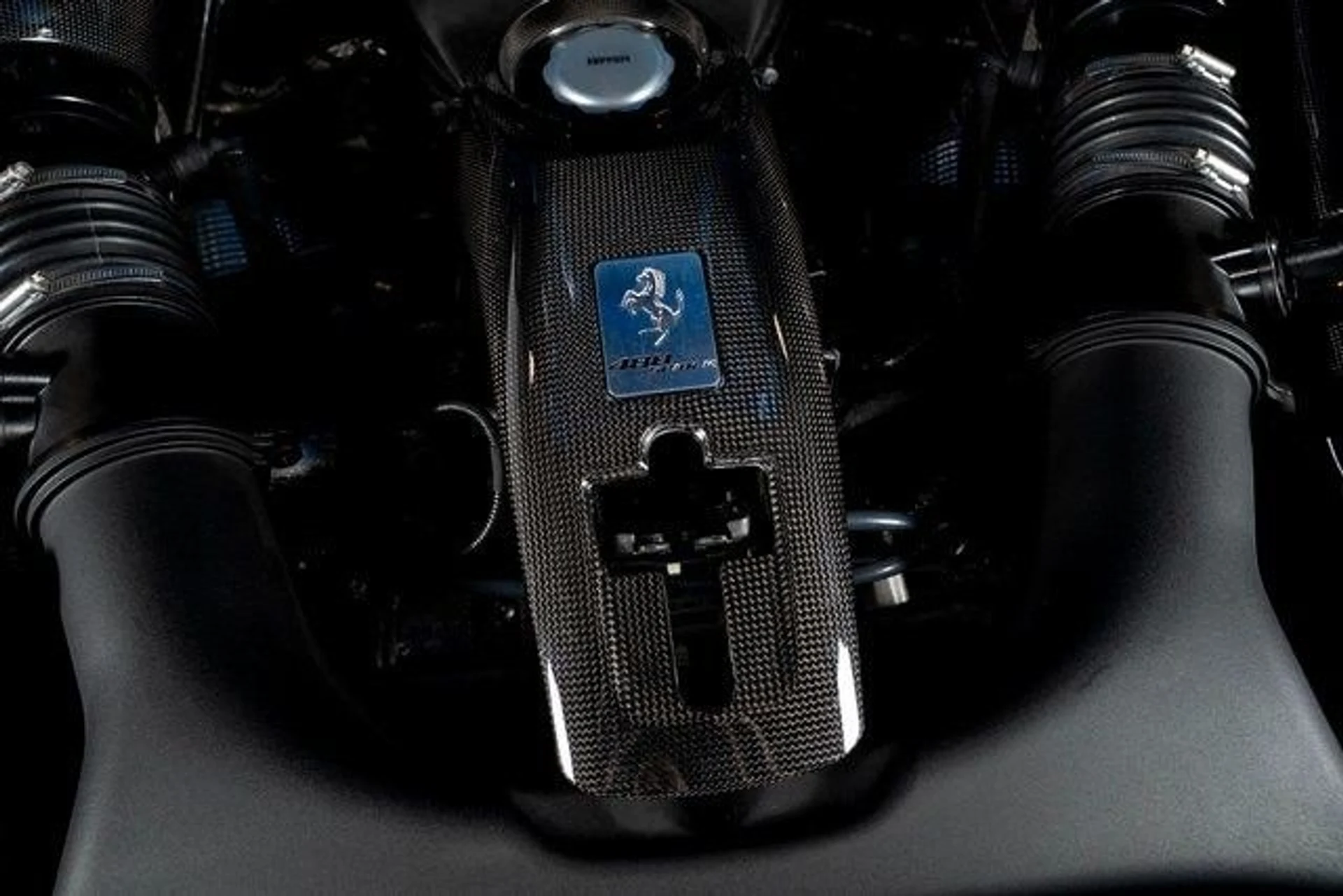 mph010_3734946746_8b6f8c2cc314bf5fcdec282689186ea1x_533ec0e88a