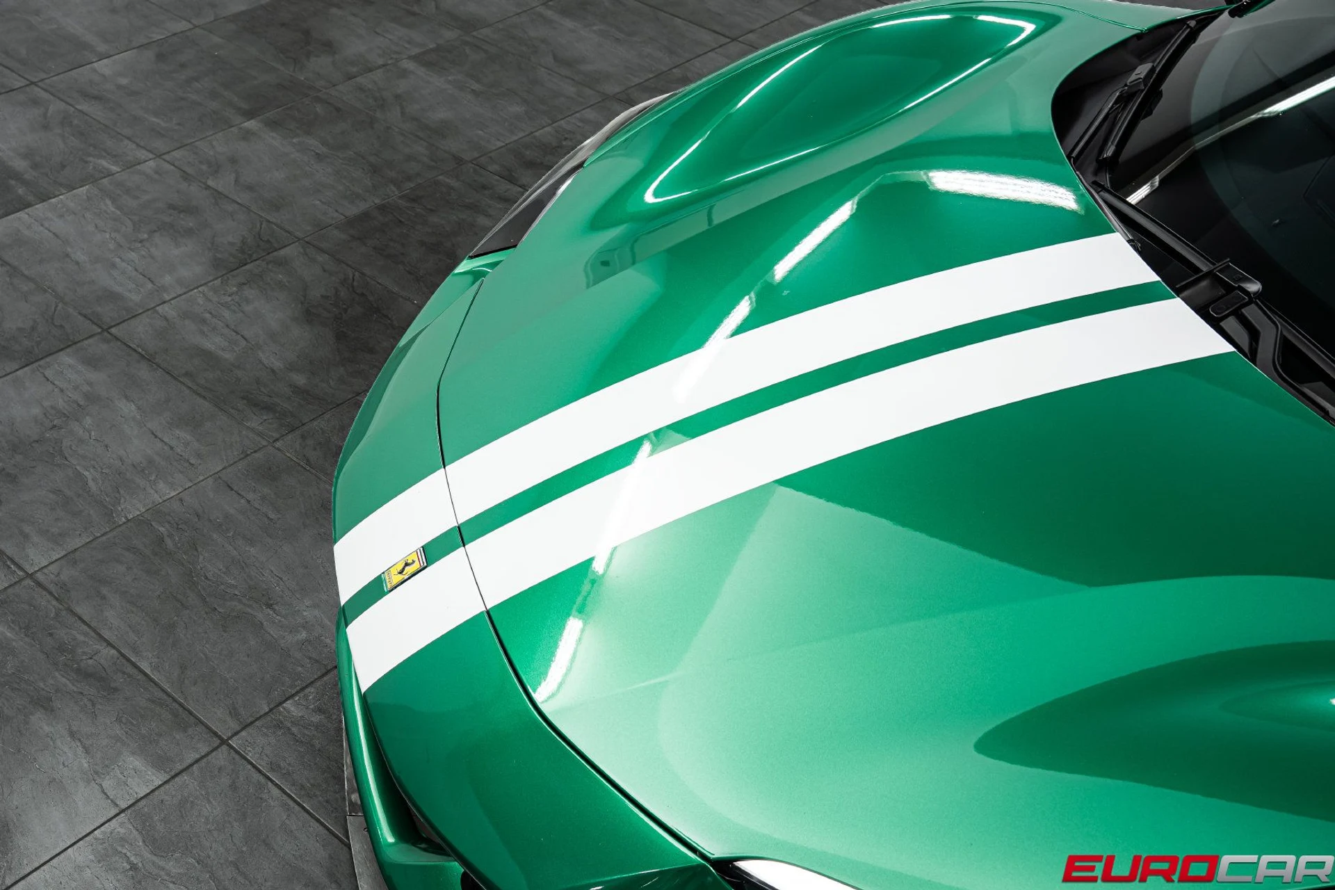 mph010_3746246410_5cc46a6b_bccb_4715_b6a8_b1bda09ea8e8_ae47bac2e6