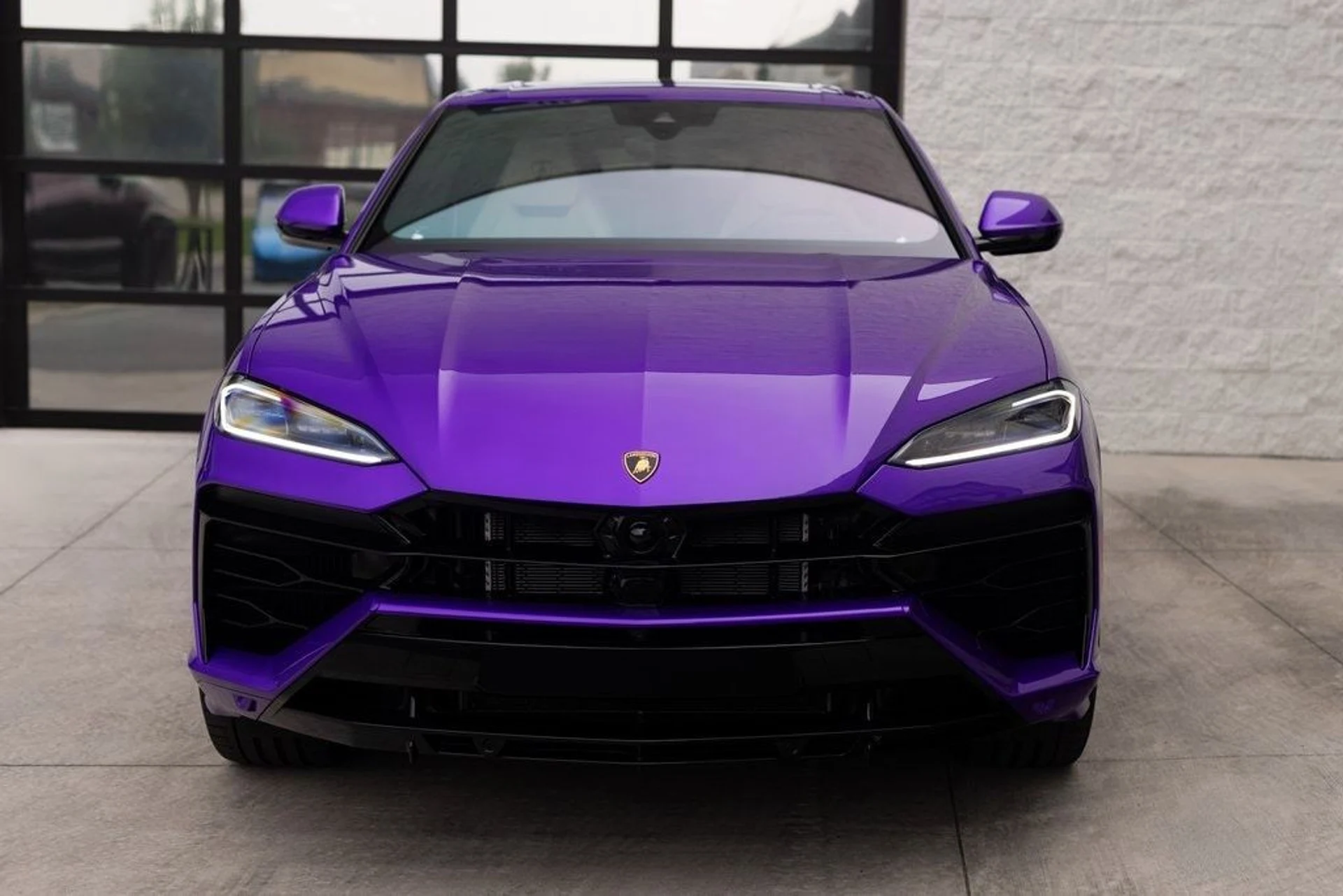 mph010_3845331567_edd45df59212bb3e8edf75f5573892fbx_79520b55bf