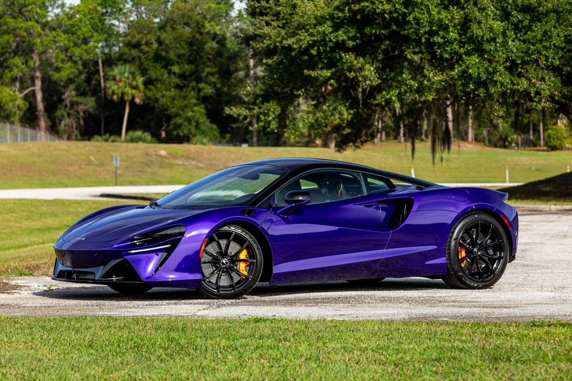 mph010_3895396737_362_p11_l_c789c26b66