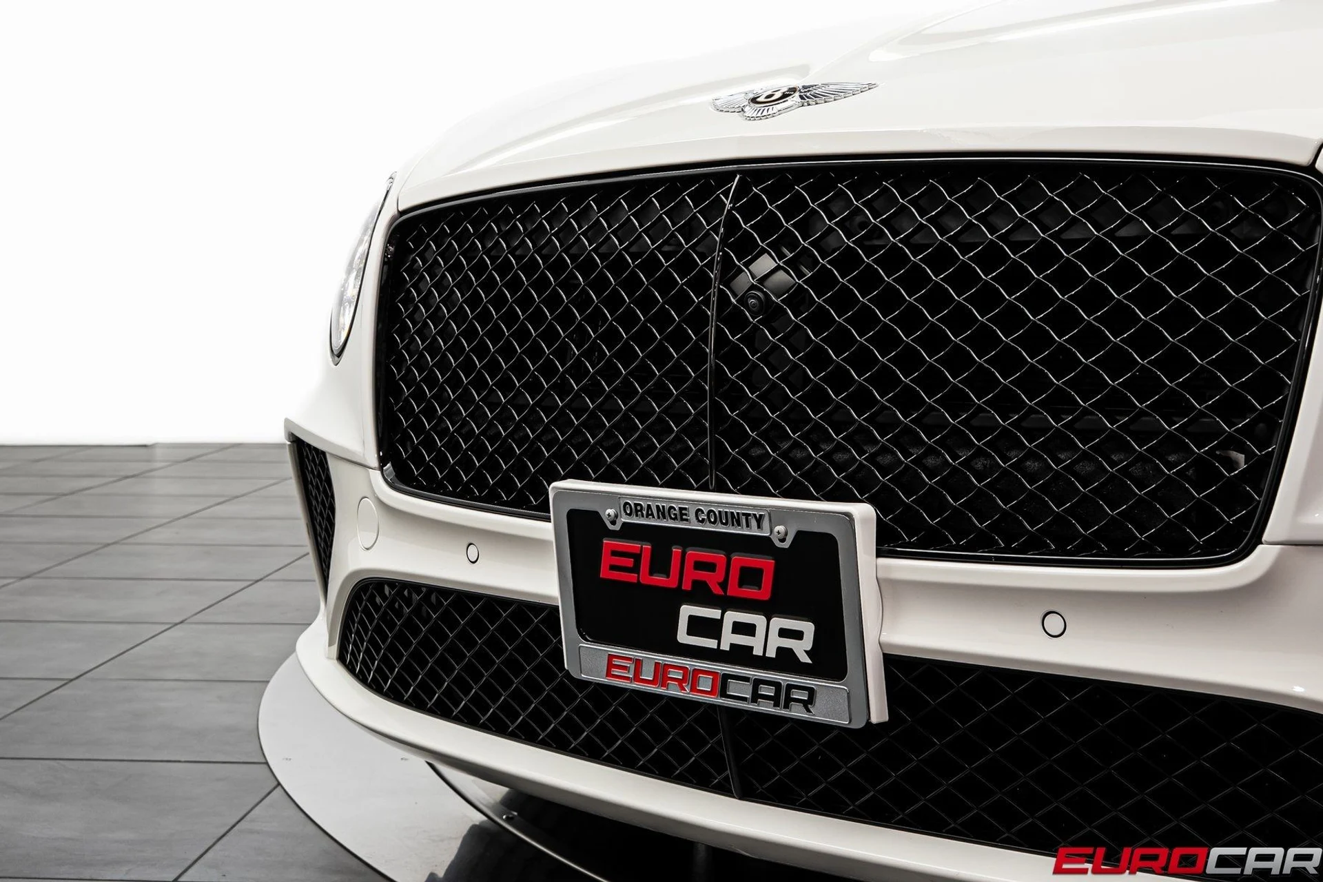 mph010_3902588432_image_11_19b61bc69b